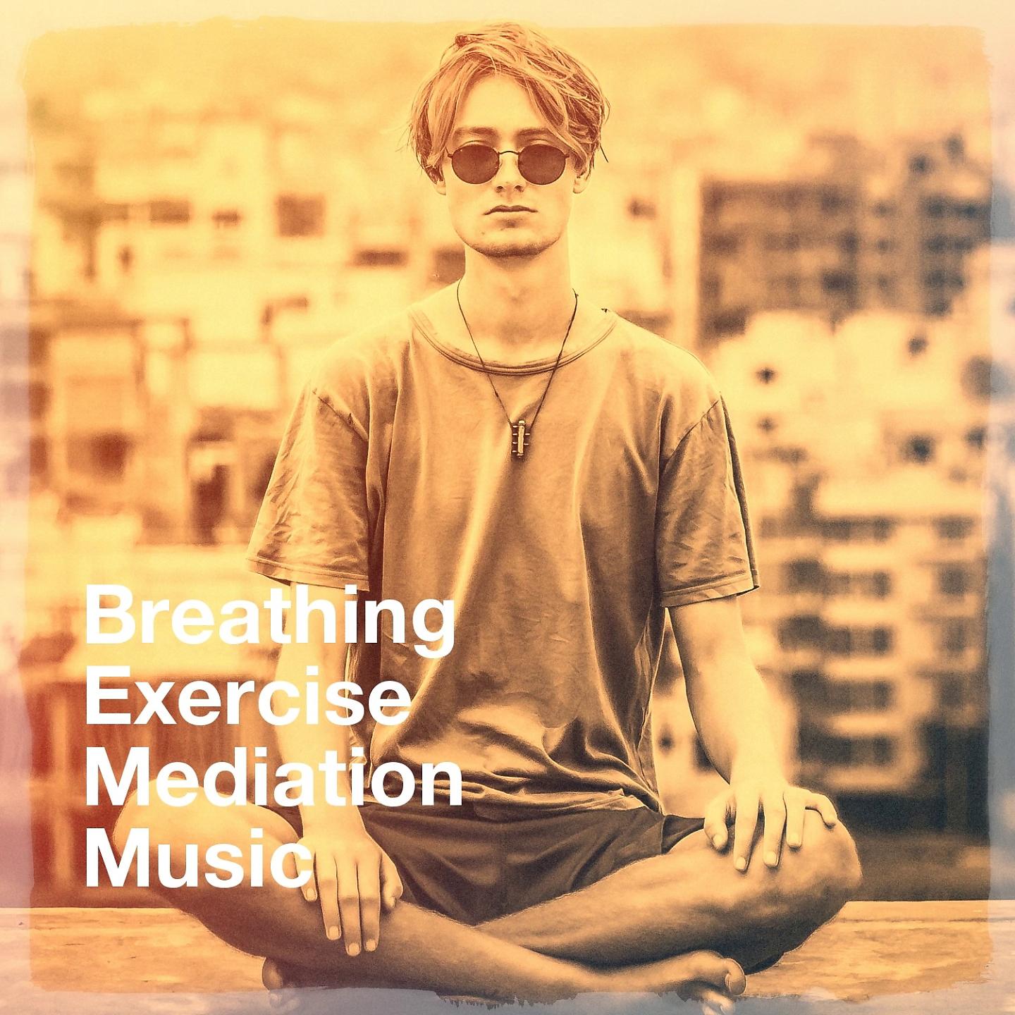 Постер альбома Breathing Exercise Mediation Music