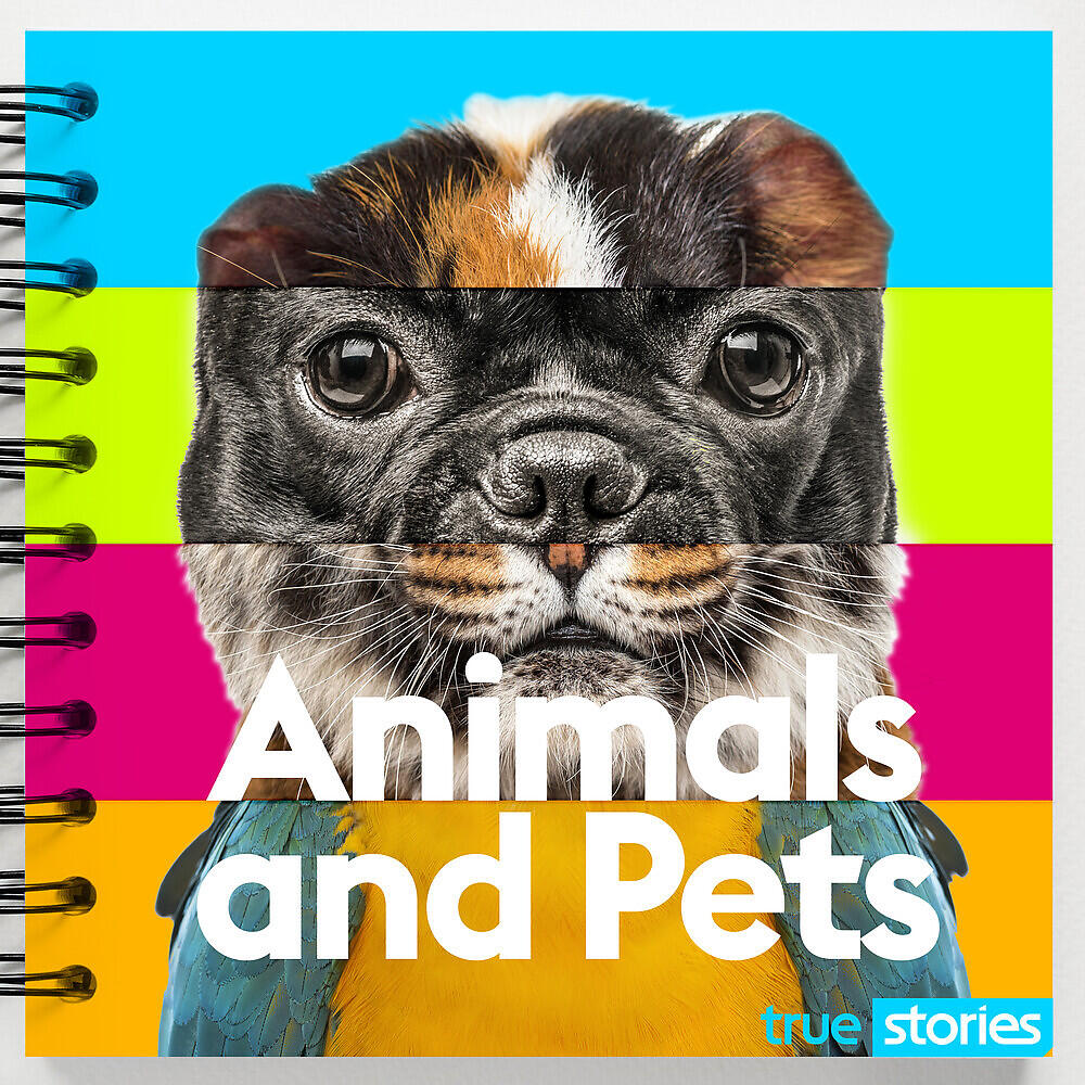 Peter  Ludlam - Pets on the Prowl