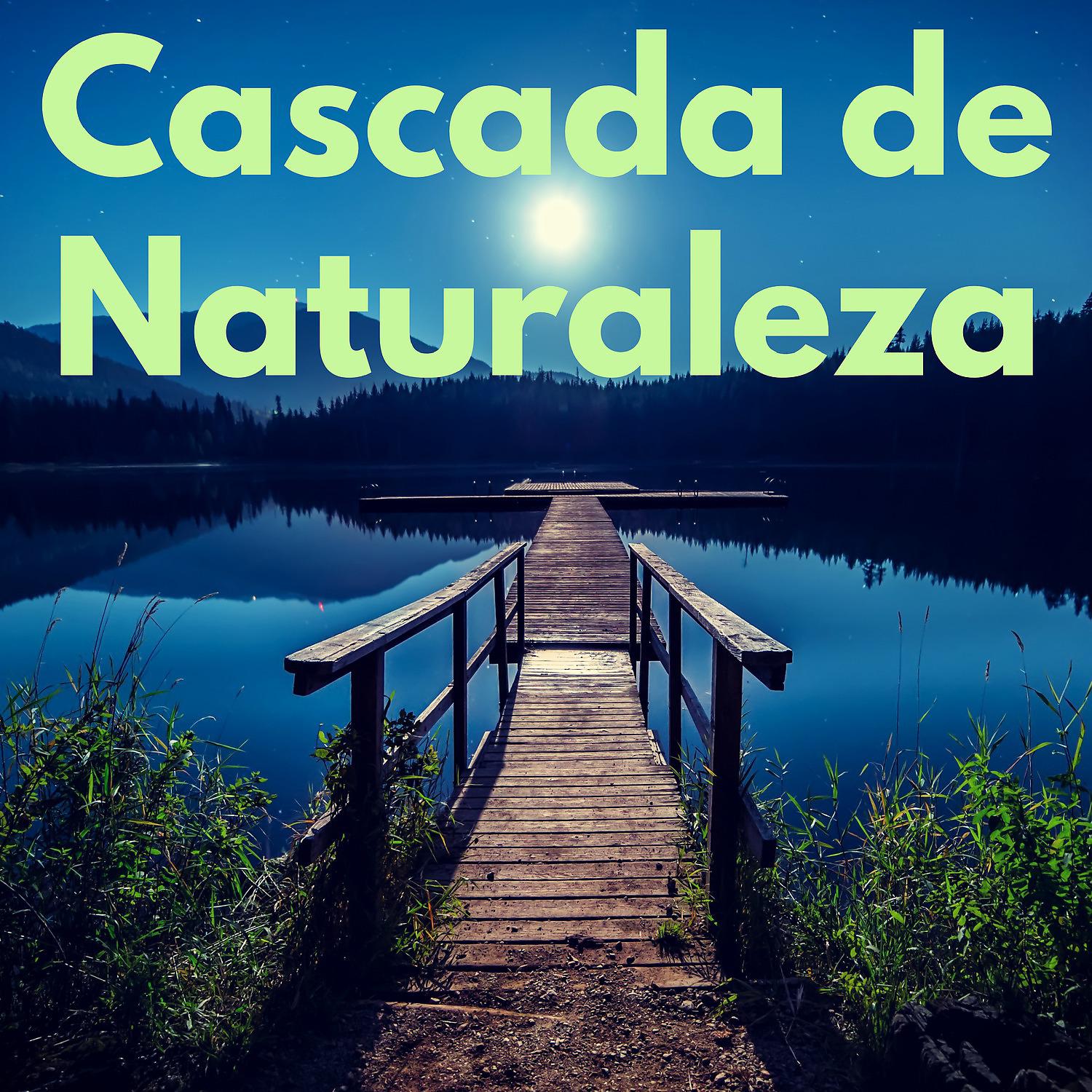 Постер альбома Cascada de Naturaleza