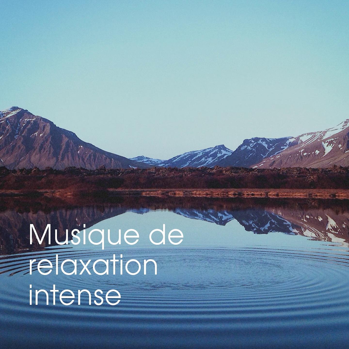 Постер альбома Musique de relaxation intense