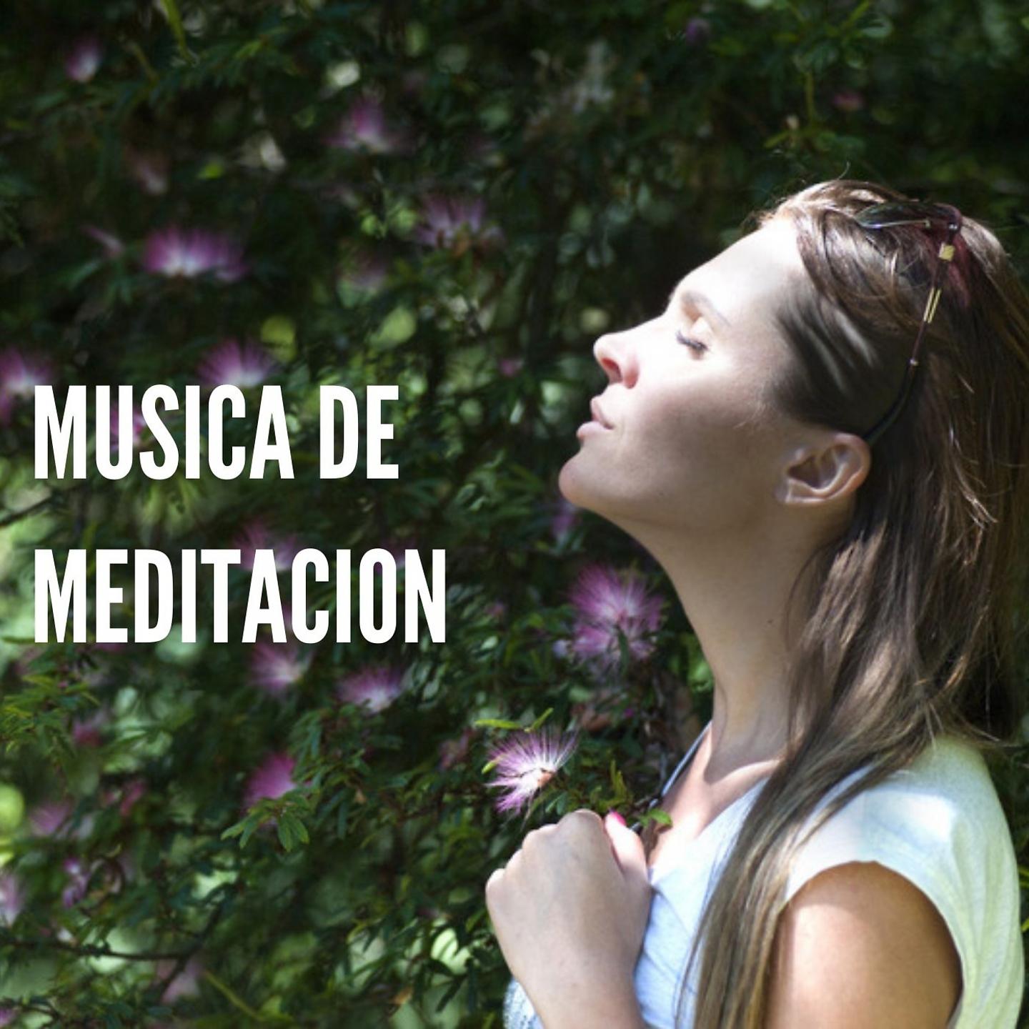 Постер альбома Musica de Meditacion