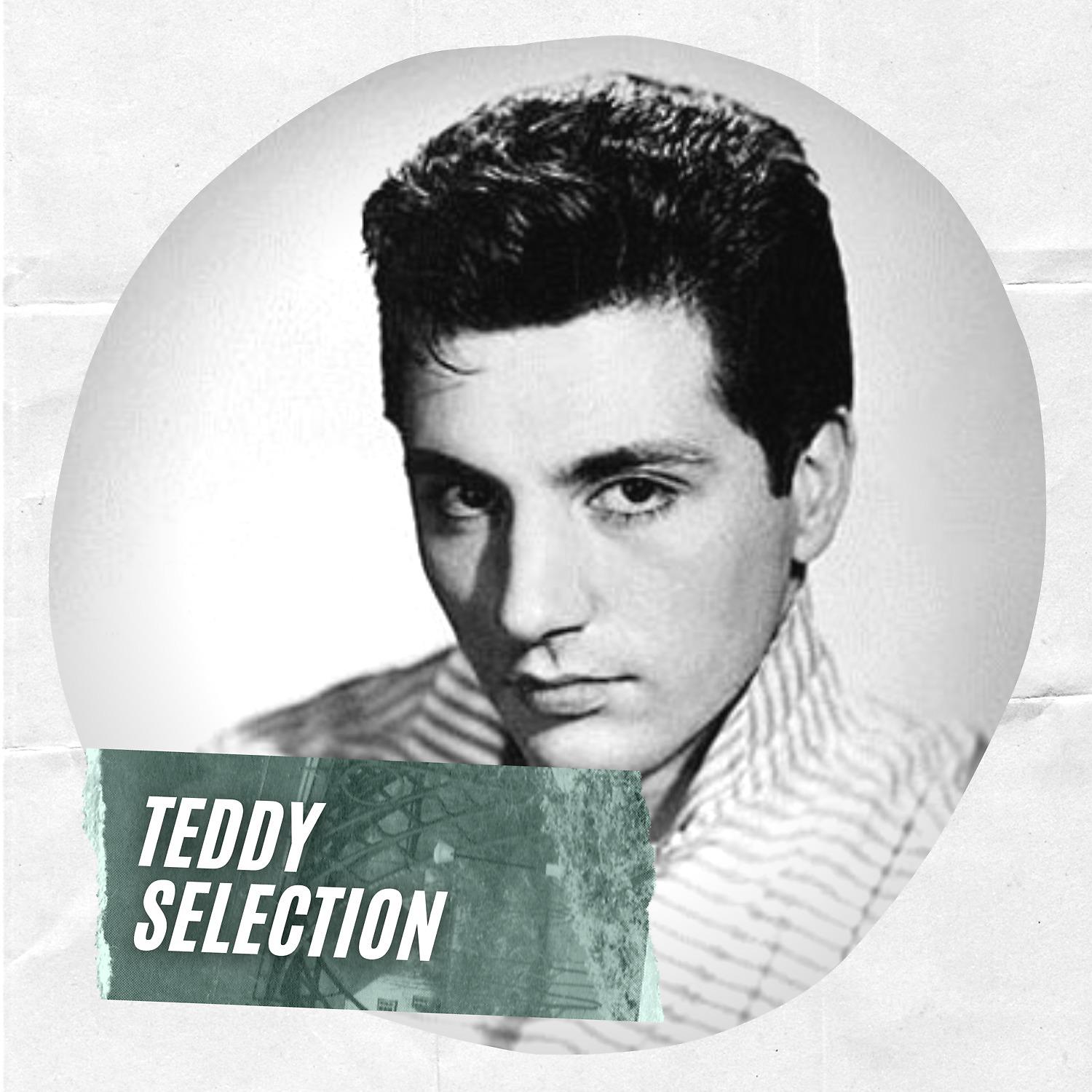 Постер альбома Teddy Selection