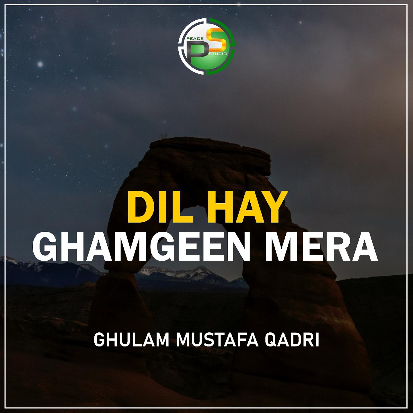 Постер альбома Dil Hay Ghamgeen Mera