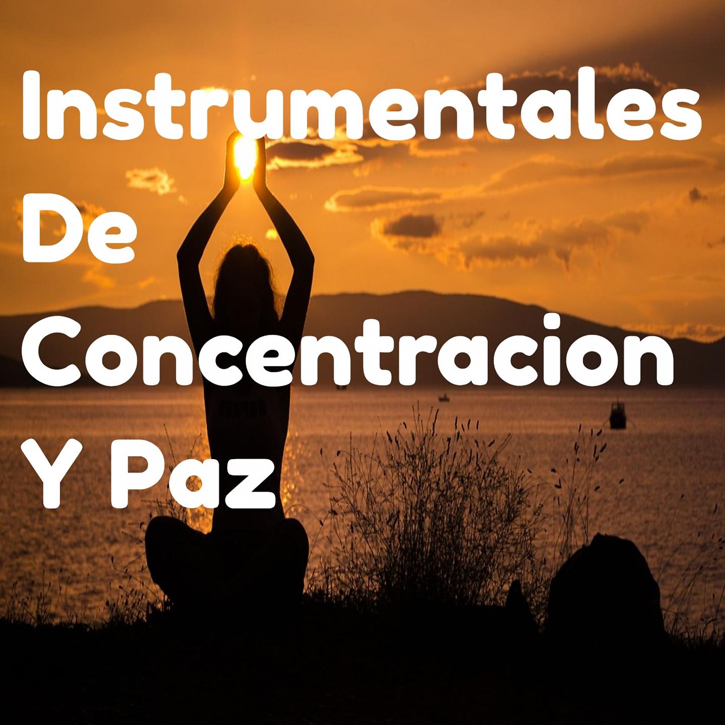 Постер альбома Instrumentales de Concentracion y Paz