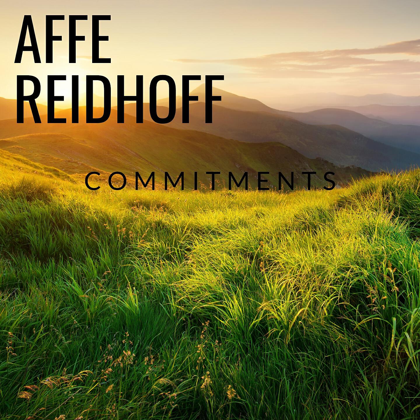 Постер альбома Commitments