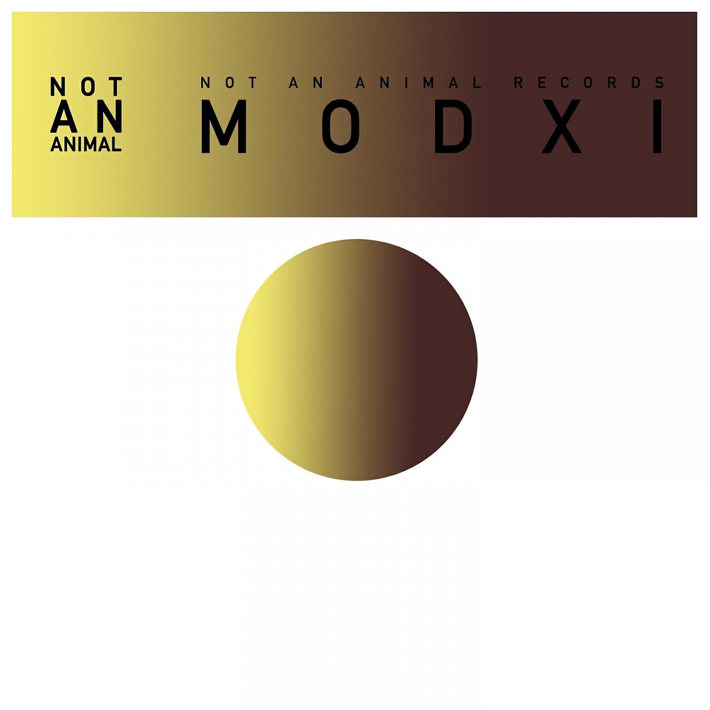 MODXI - Amalgam (Frank Butters Remix)