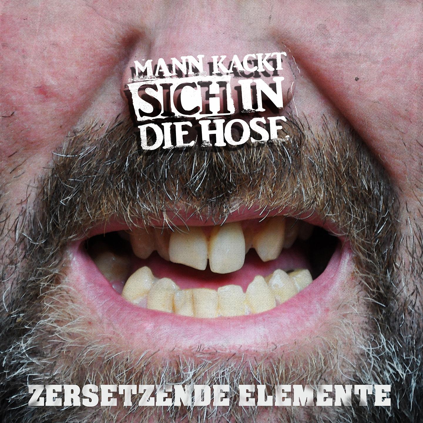 Постер альбома Zersetzende Elemente EP