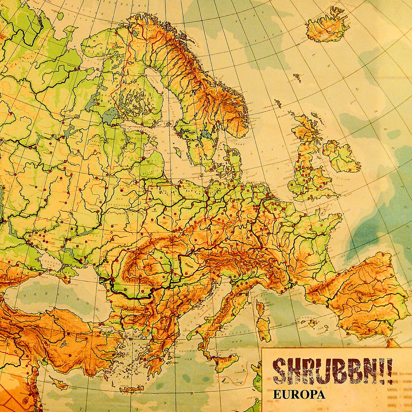 Shrubbn!! - Mondragon