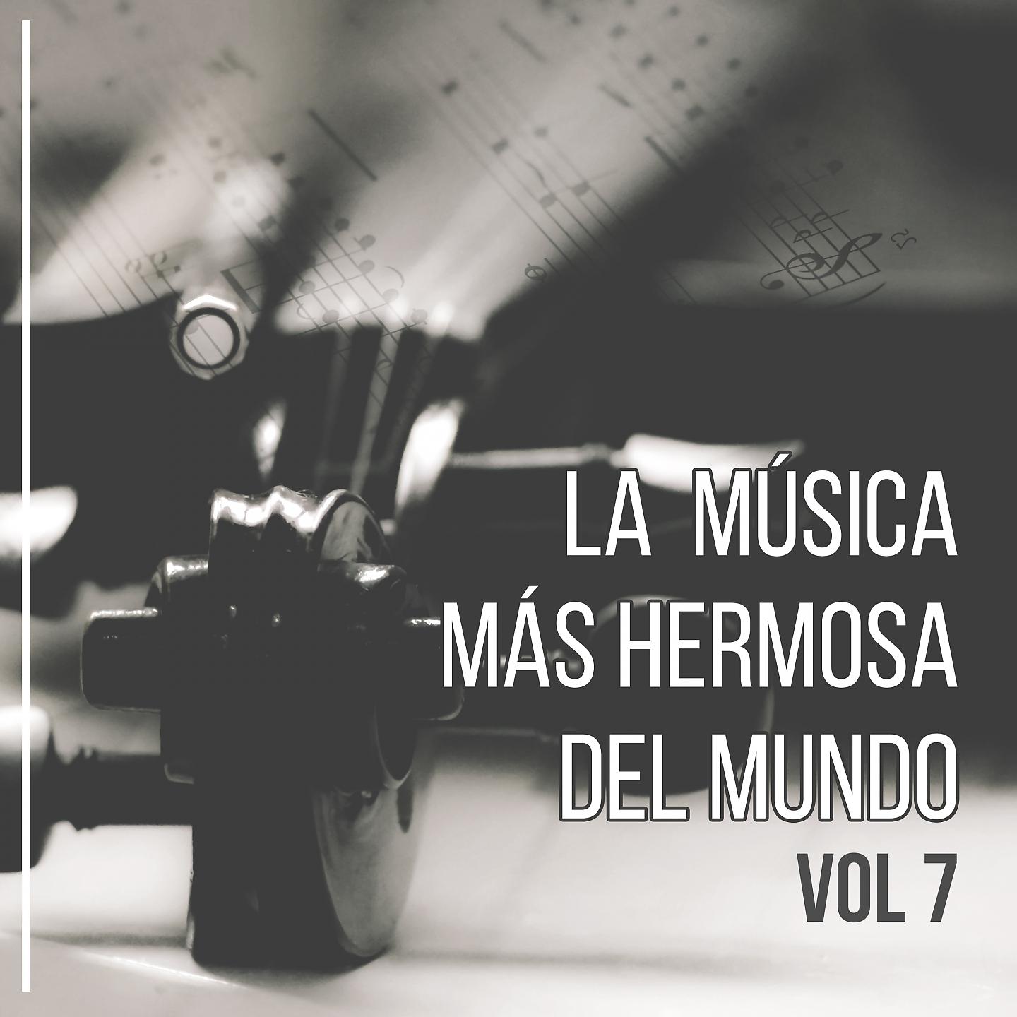Постер альбома La Música Más Hermosa del Mundo, Vol. 7