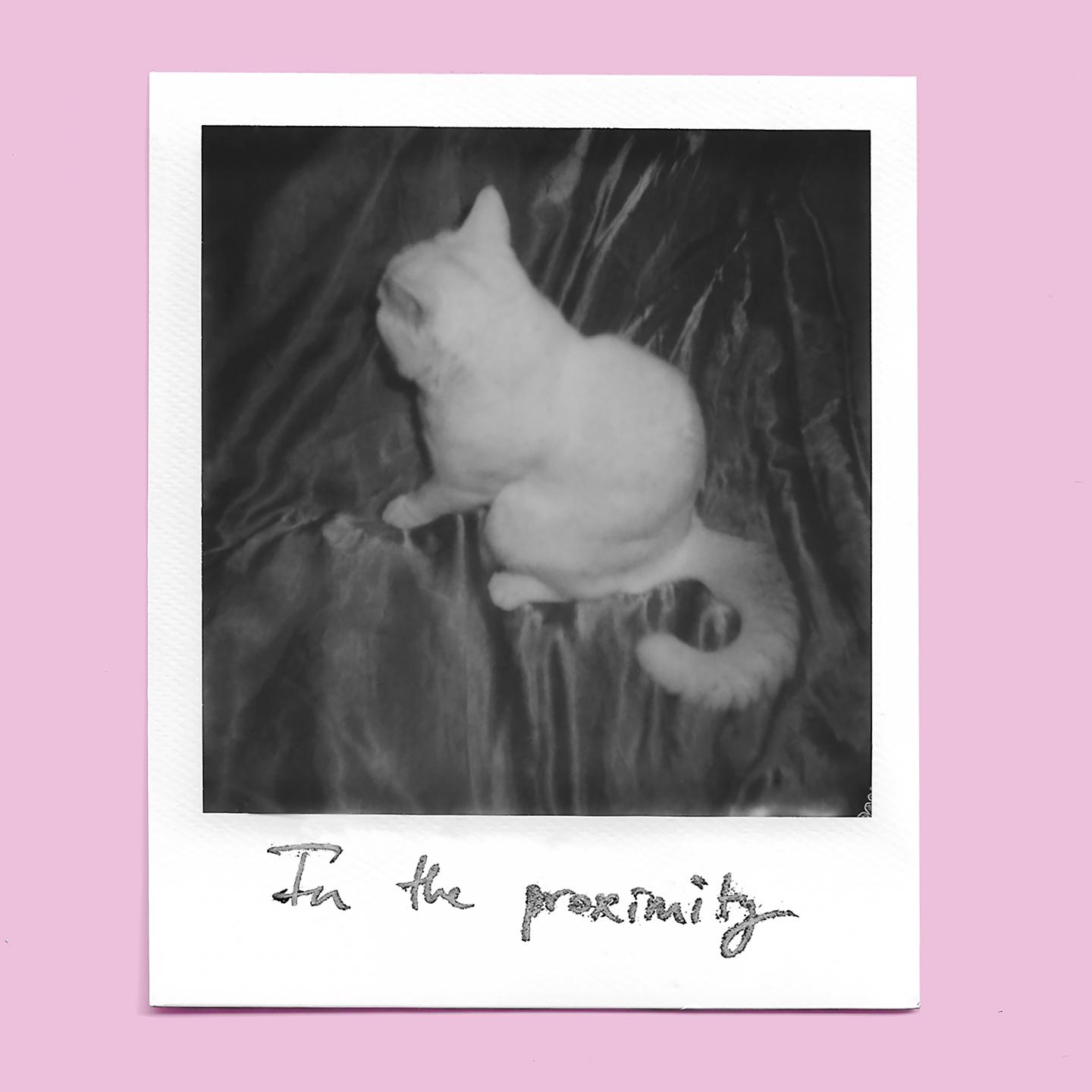 Постер альбома In the Proximity