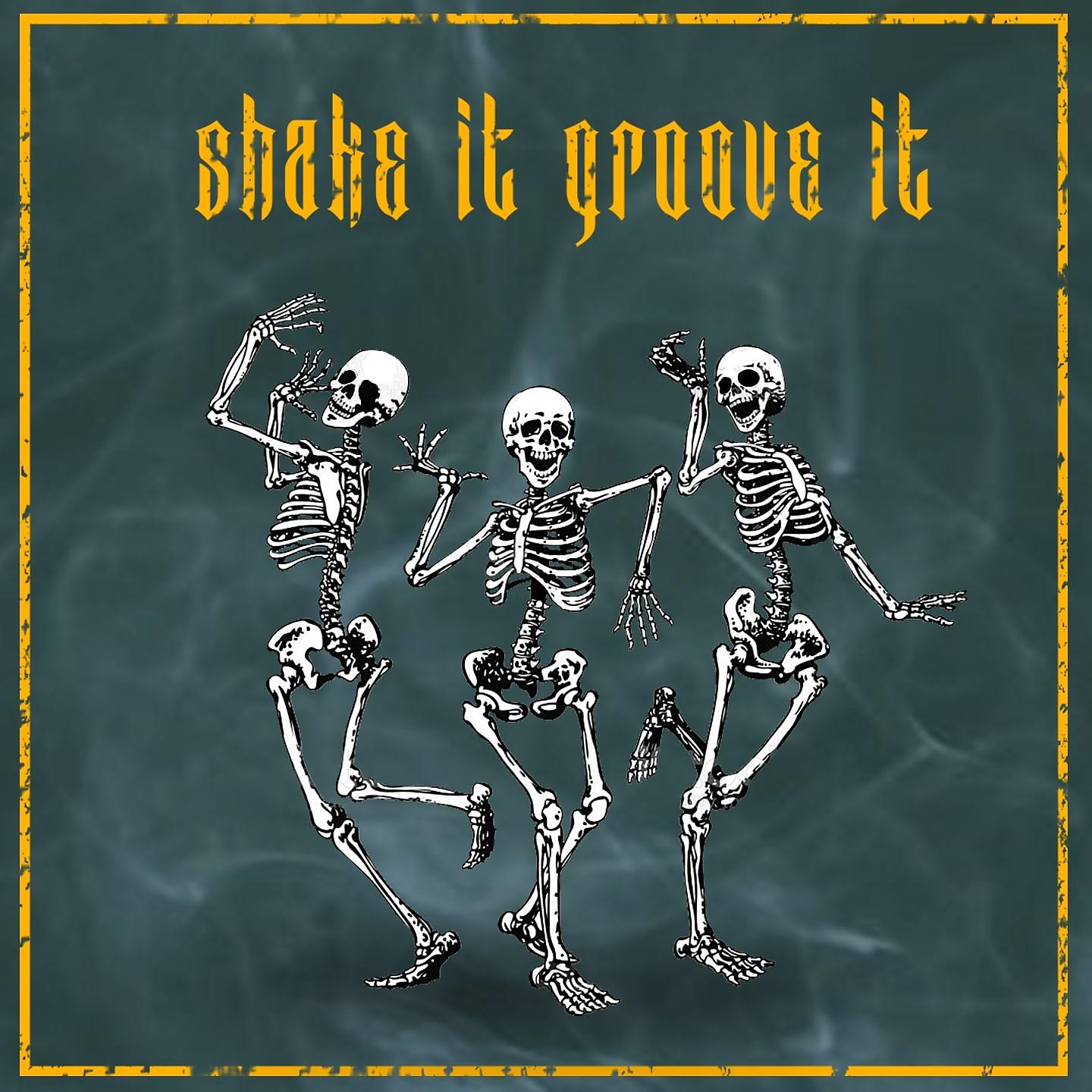 Постер альбома Shake It ! Groove It !