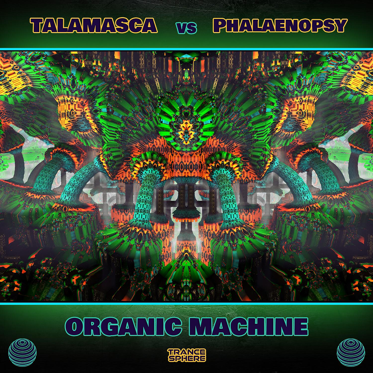 Постер альбома Organic Machine