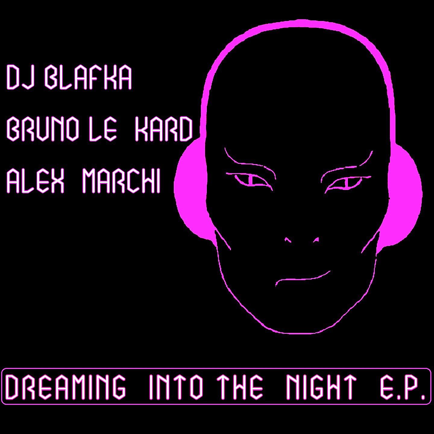 Постер альбома Dreaming into the Night