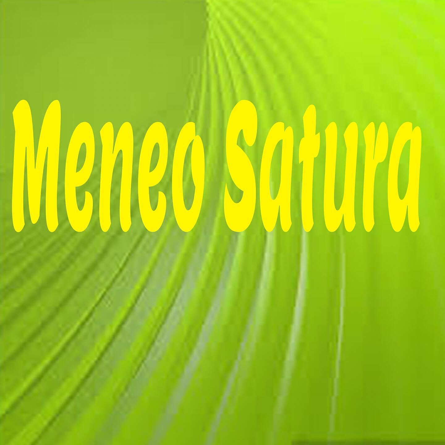 Relaxing Music - Meneo Satura