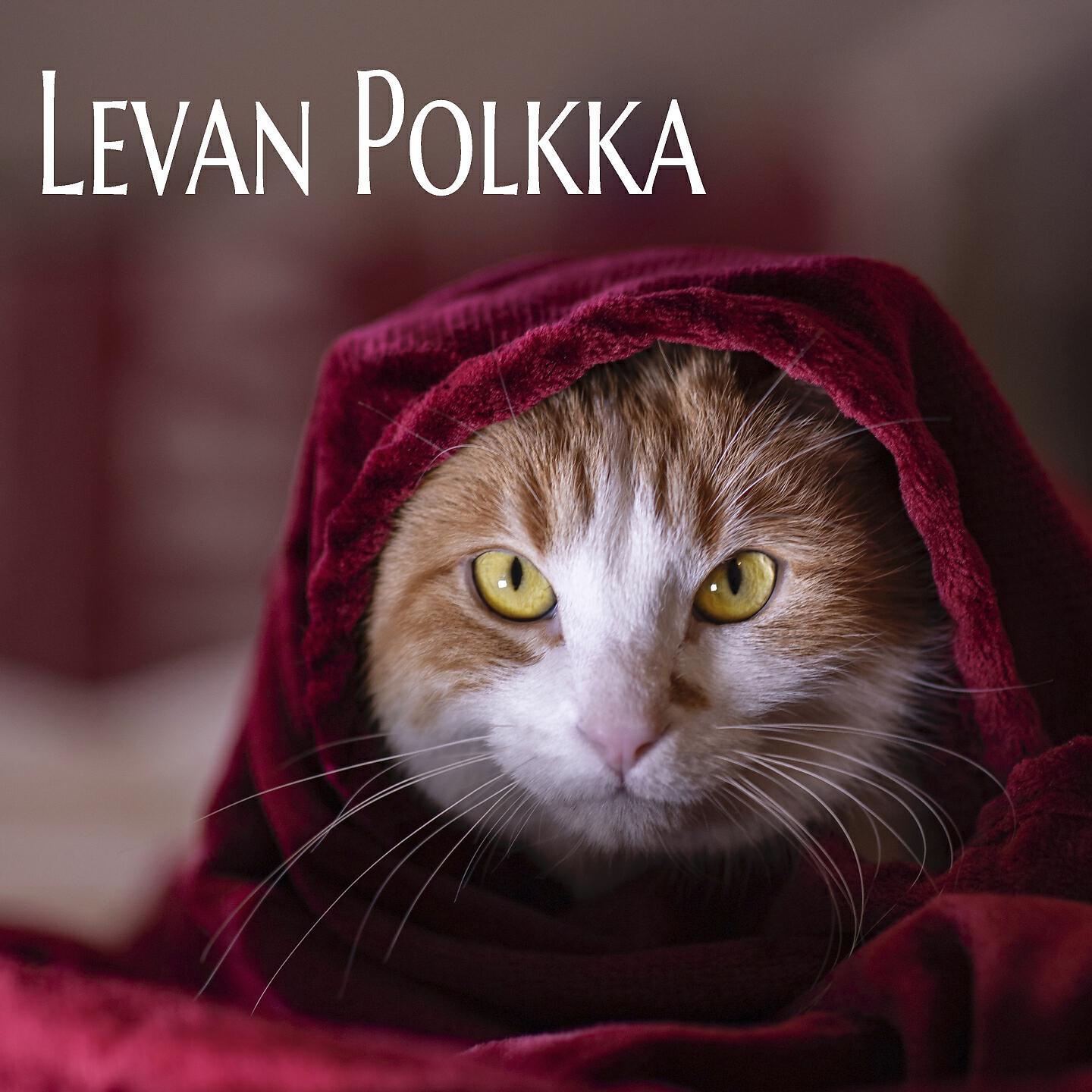 Dj Mix Urbano - Levan Polkka