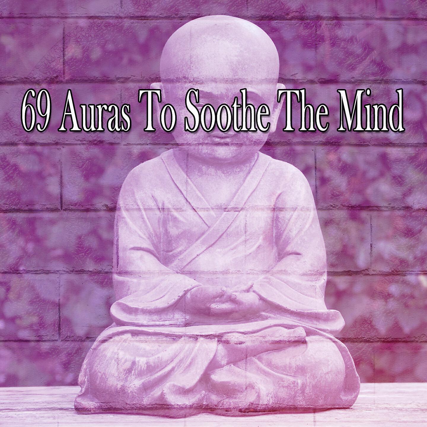 Relaxing Mindfulness Meditation Relaxation Maestro - Successful Brilliance