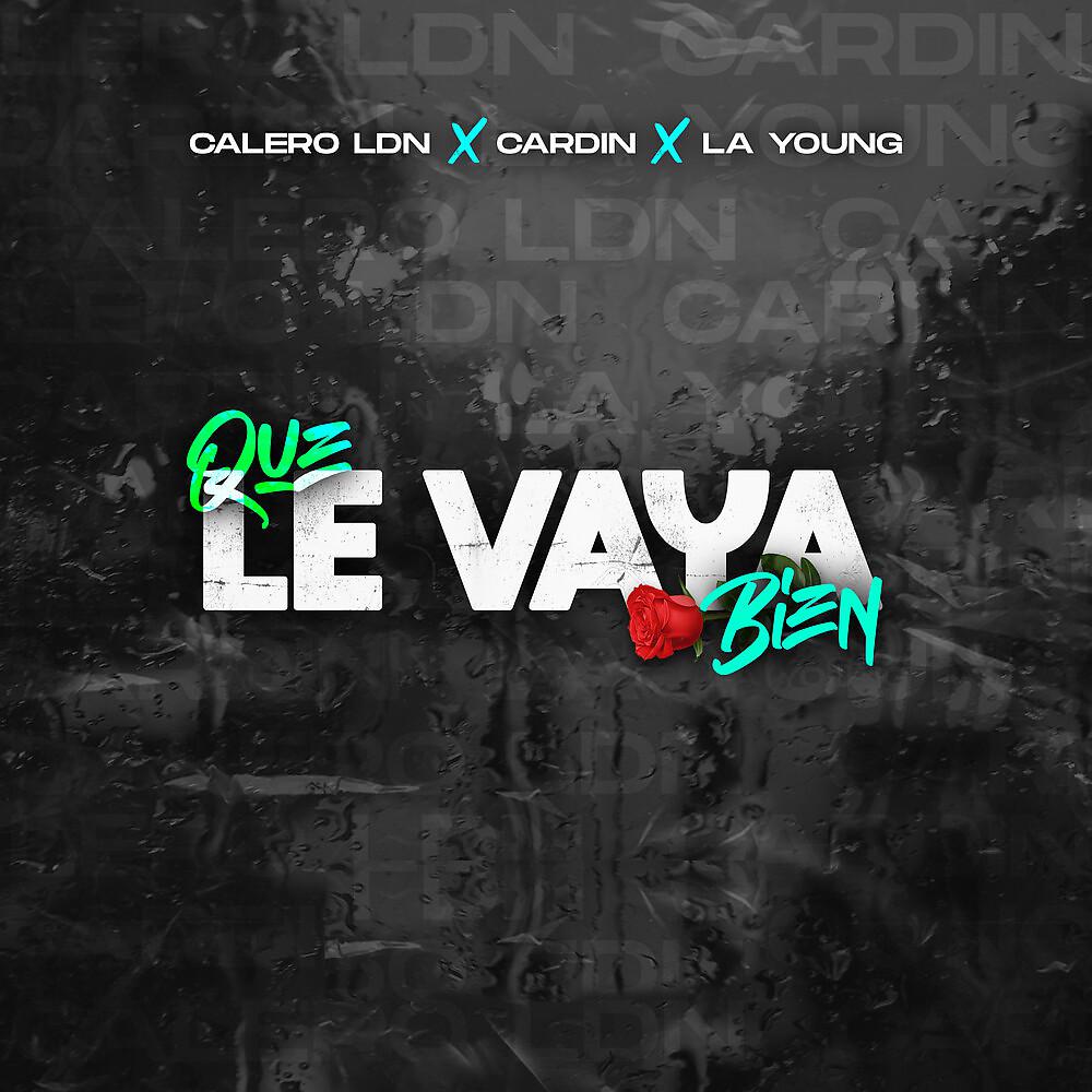 Постер альбома Que Le Vaya Bien