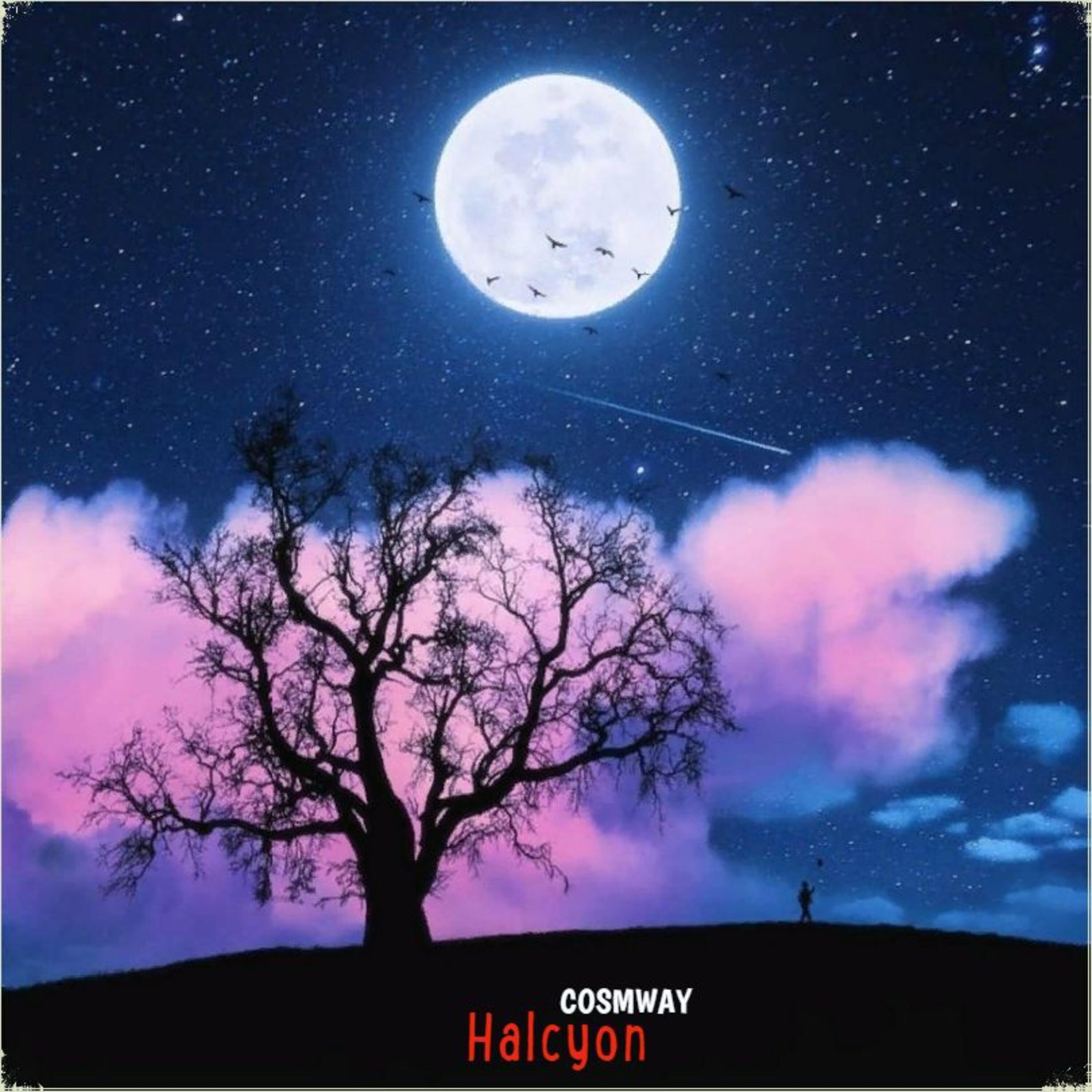 COSMWAY - Halcyon