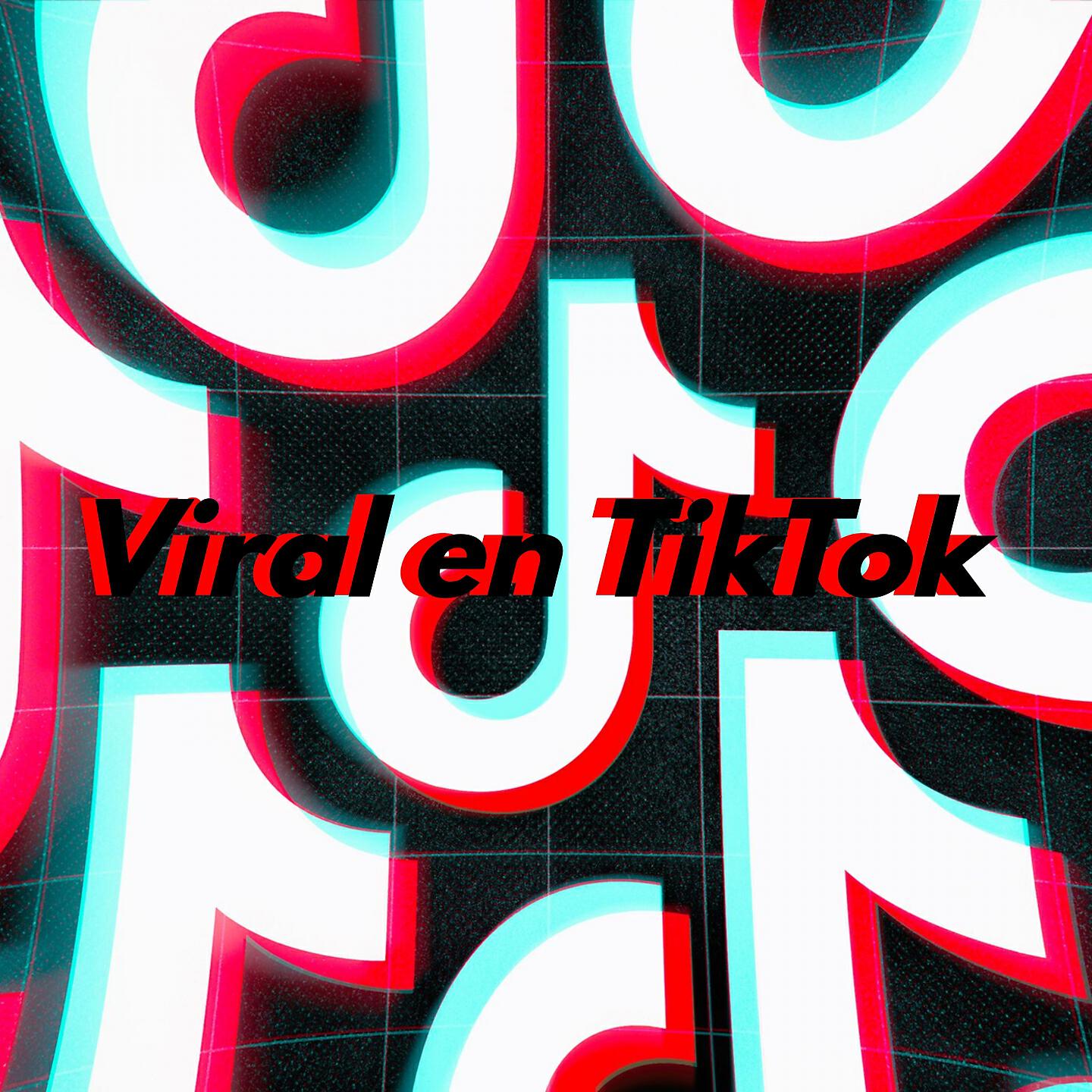 Dj Viral TikToker - Touch It TikToker Mix