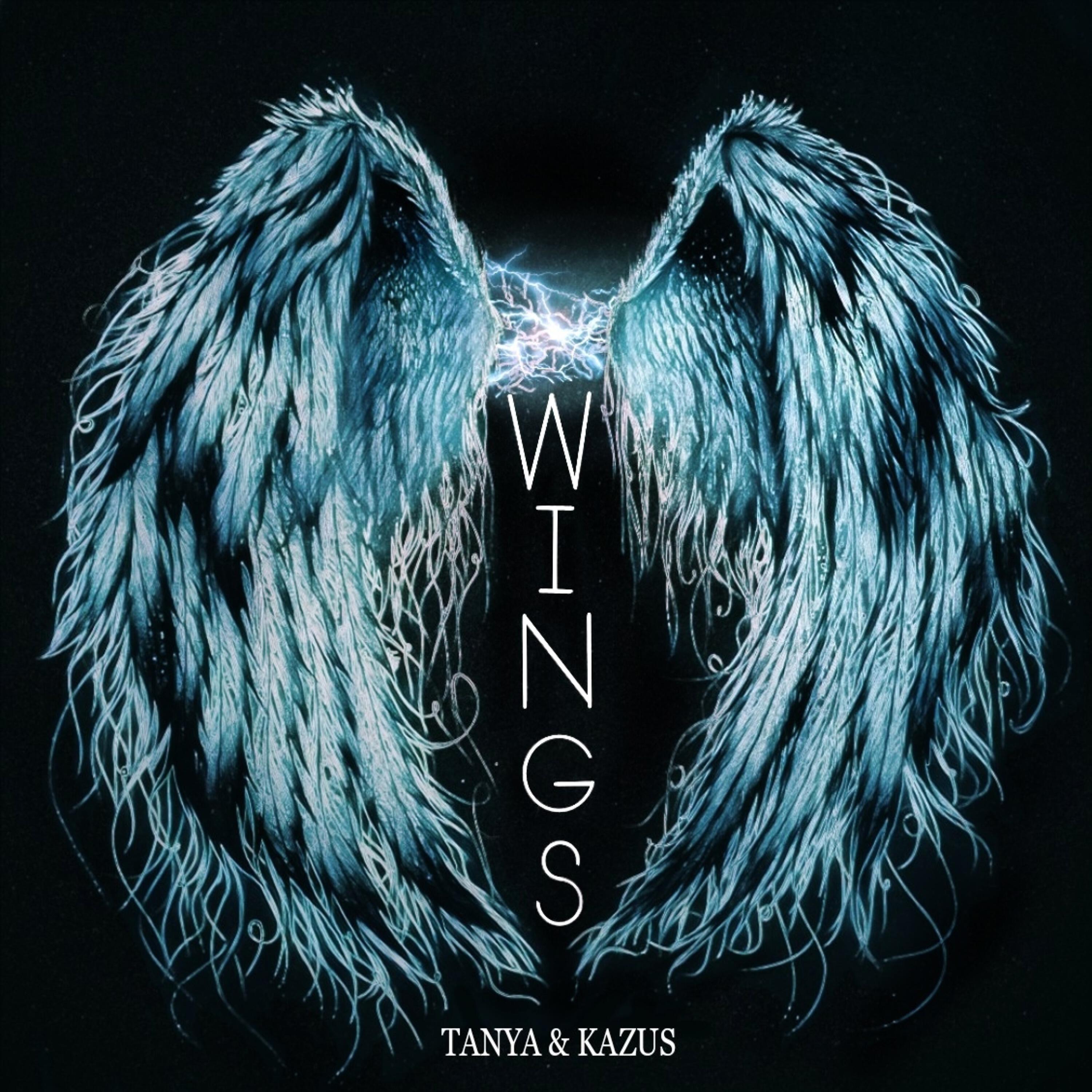 Постер альбома WINGS