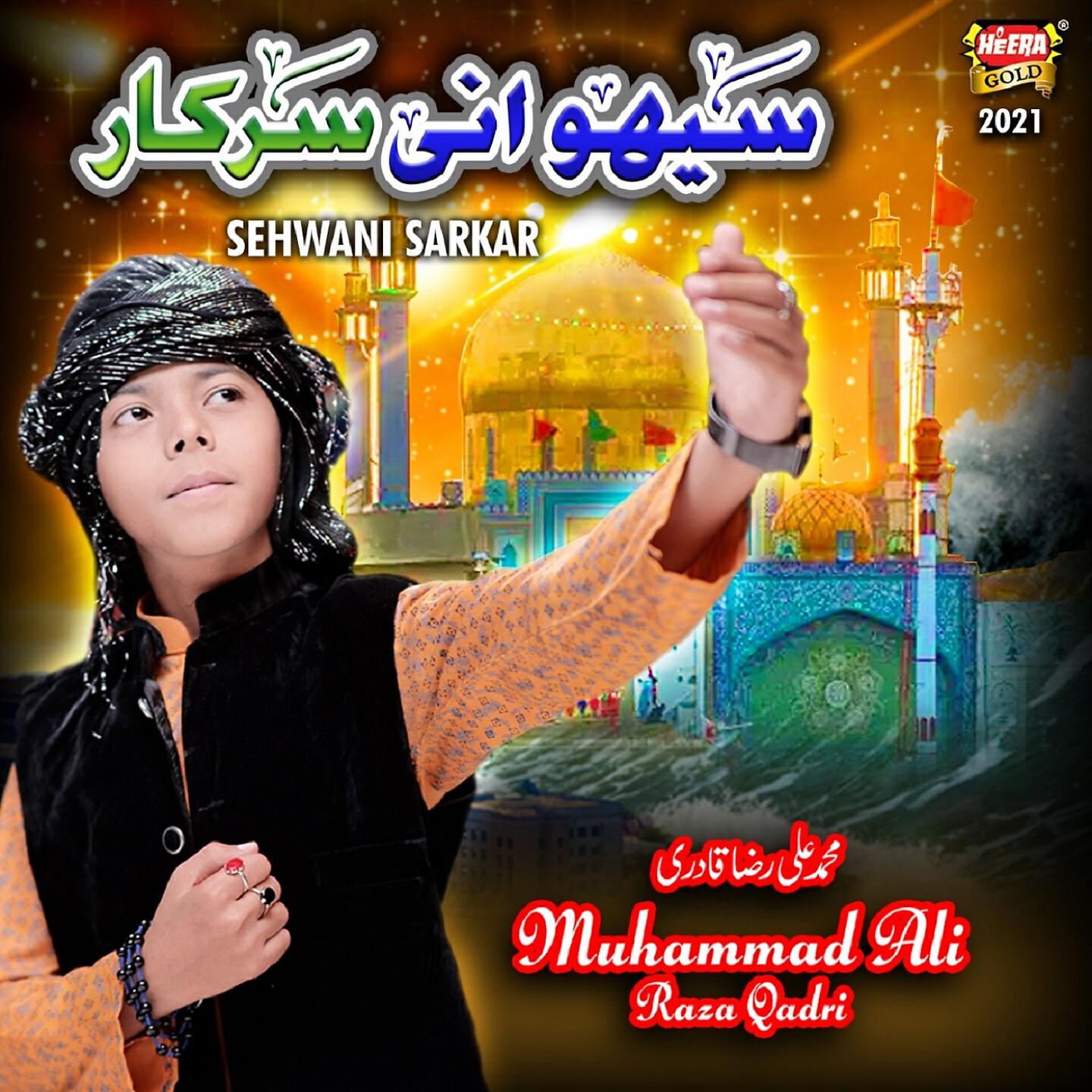 Muhammad Ali Raza Qadri - Sehwani Sarkar