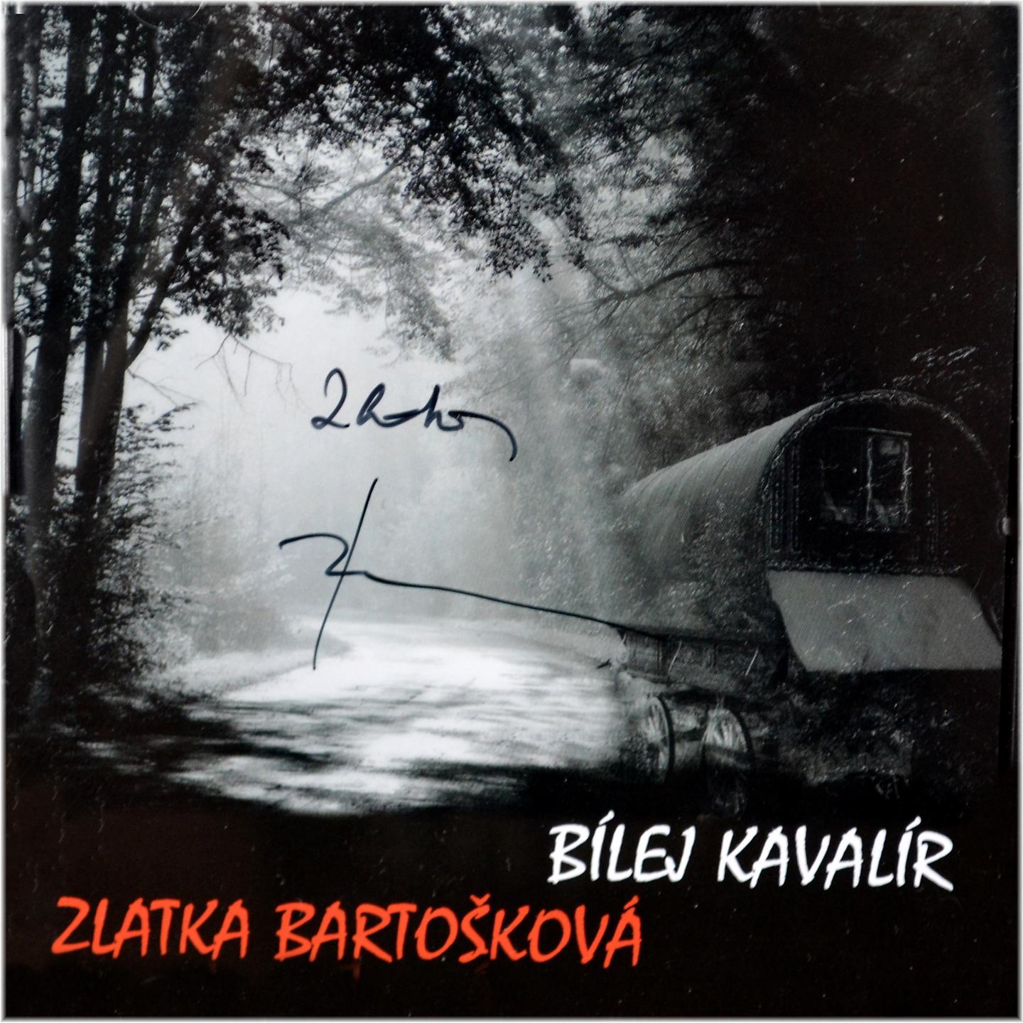 Постер альбома Bílej kavalír