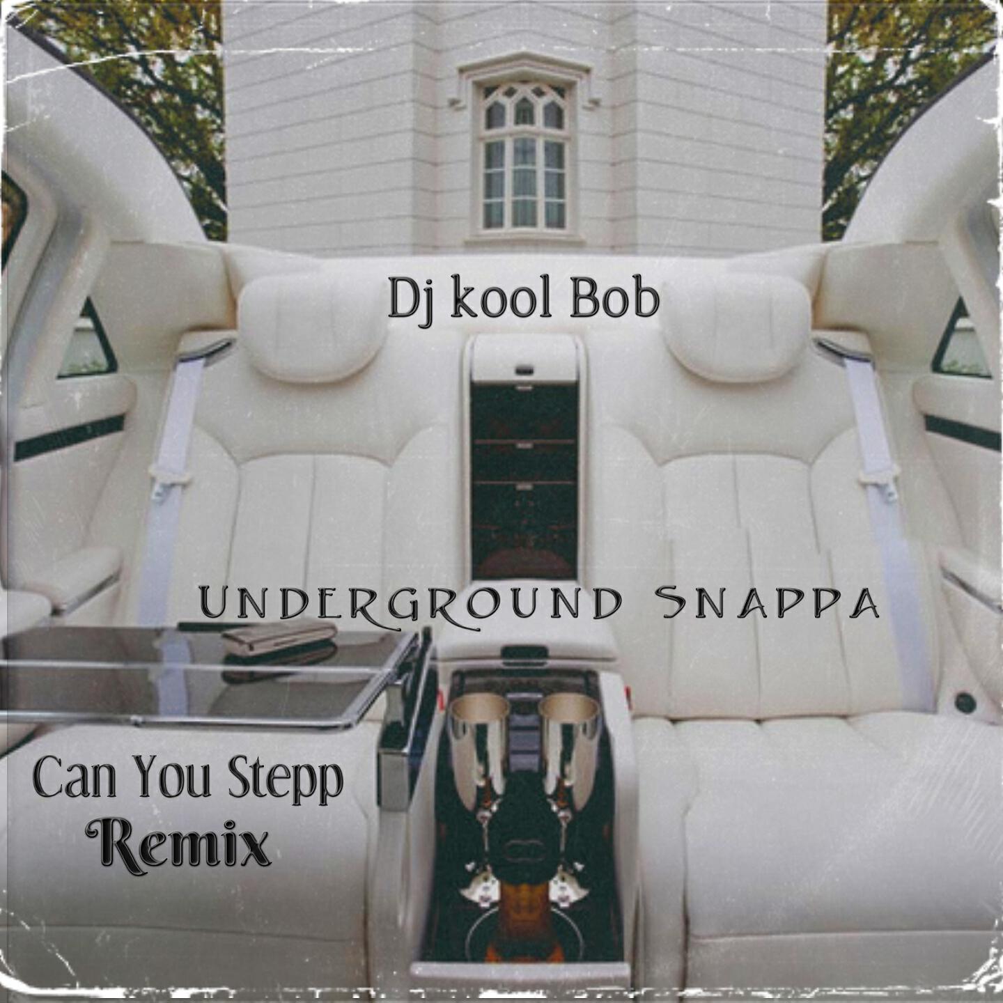 DJ Kool Bob UnderGround Snappa - Can You Stepp (Remix)