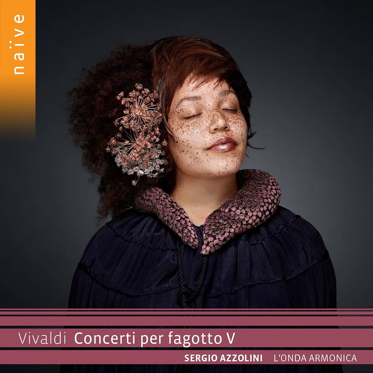 Постер альбома Vivaldi: Concerti per fagotto V