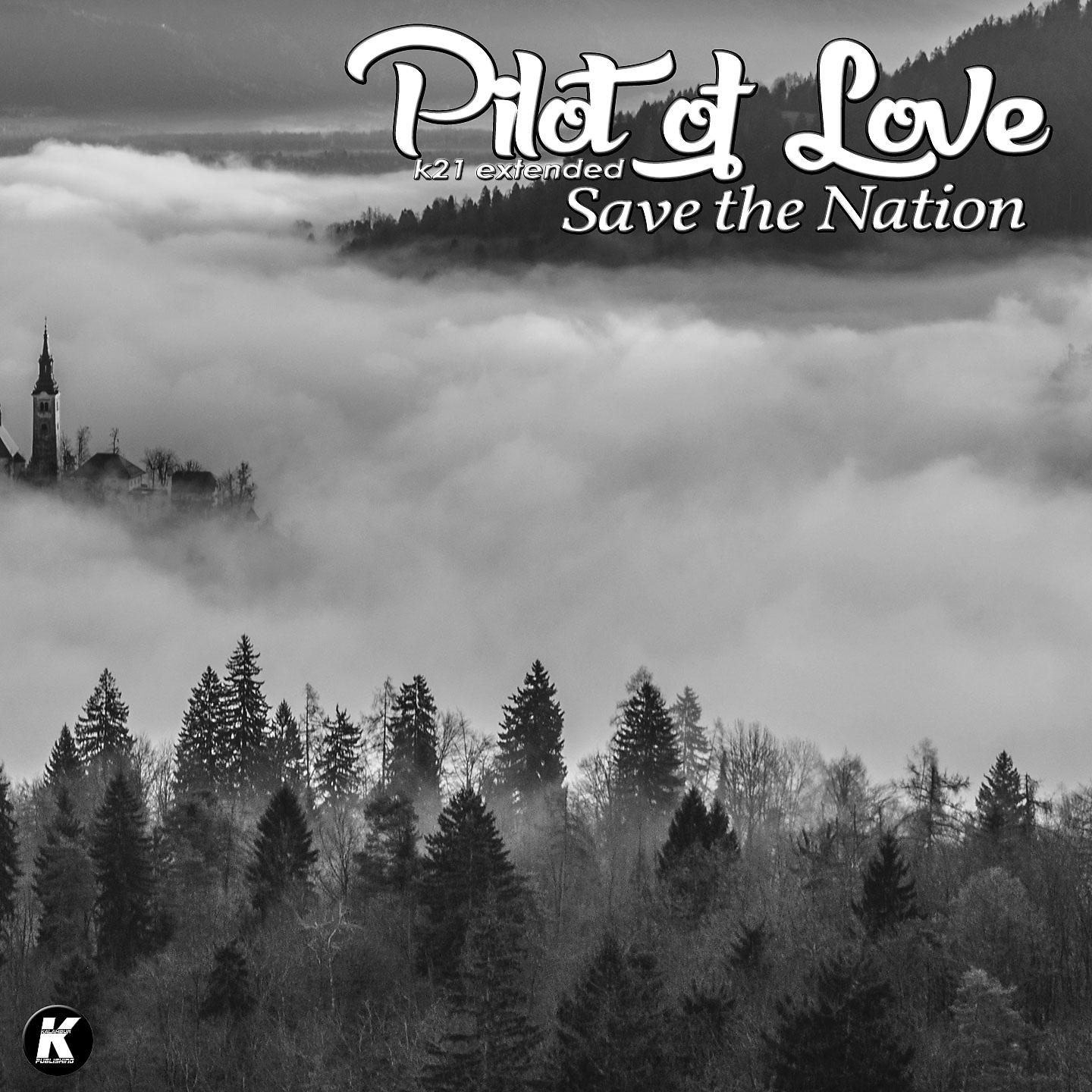 Постер альбома Save the Nation