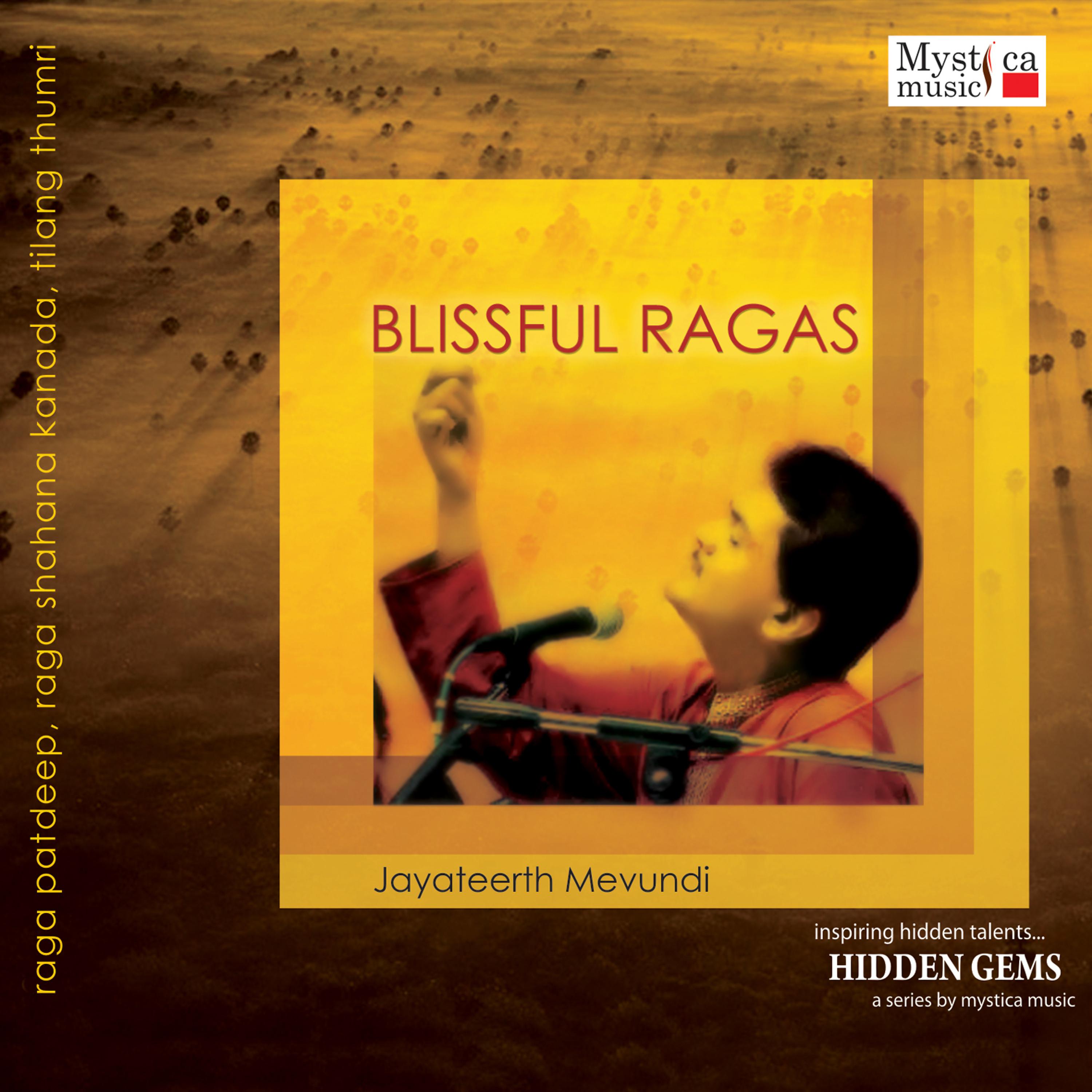 Постер альбома Blissful Ragas (Classical)