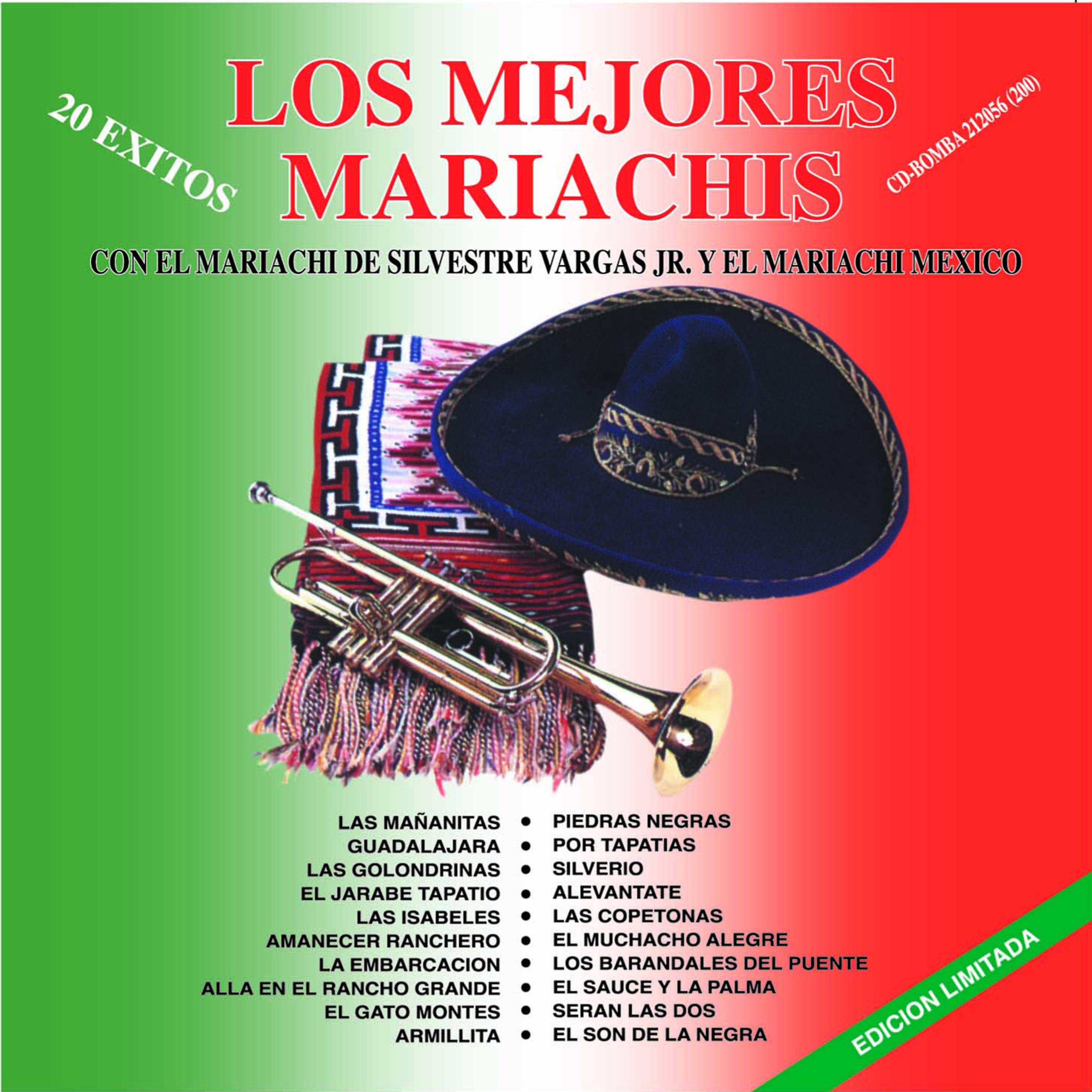 Постер альбома Los Mejores Mariachis