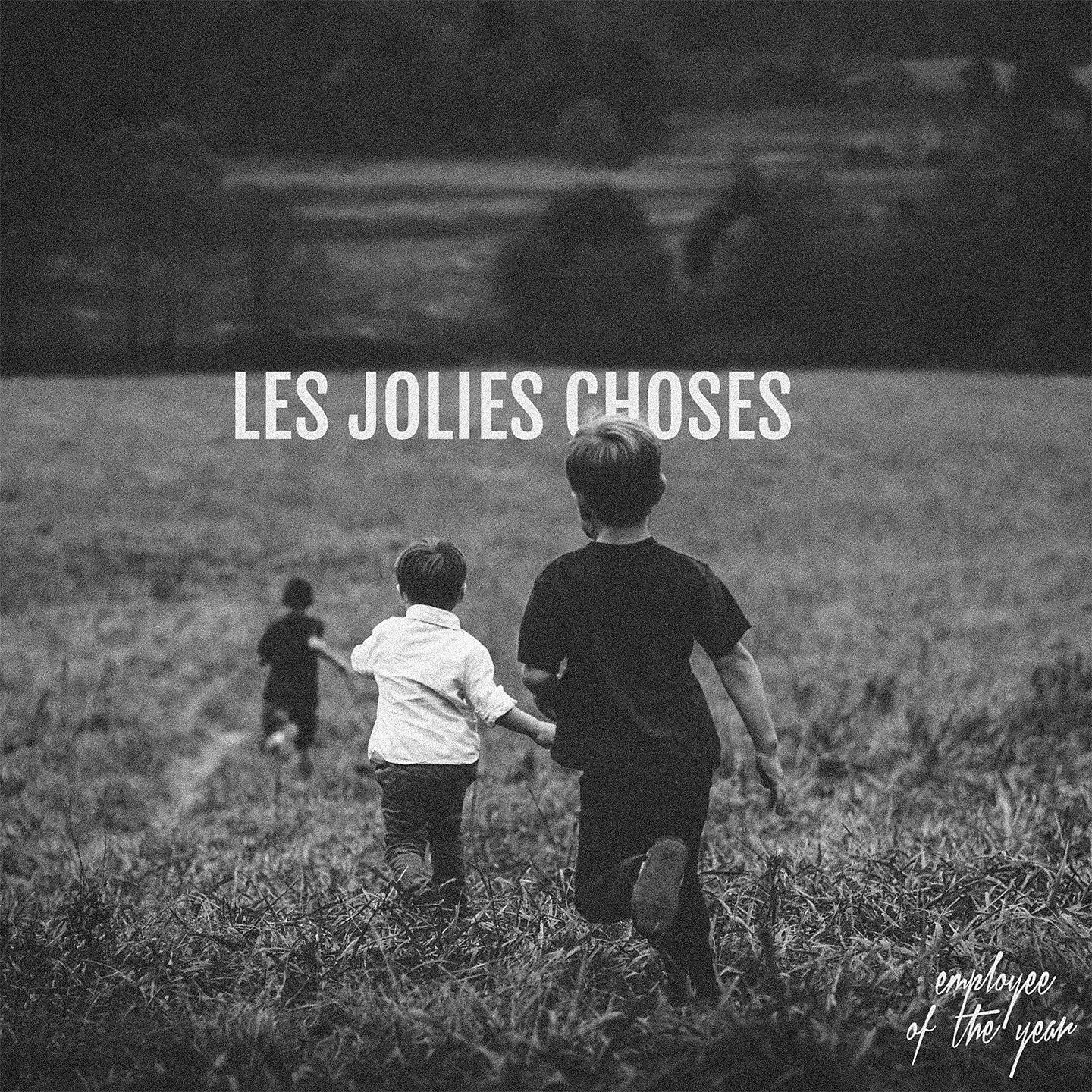Постер альбома Les jolies choses