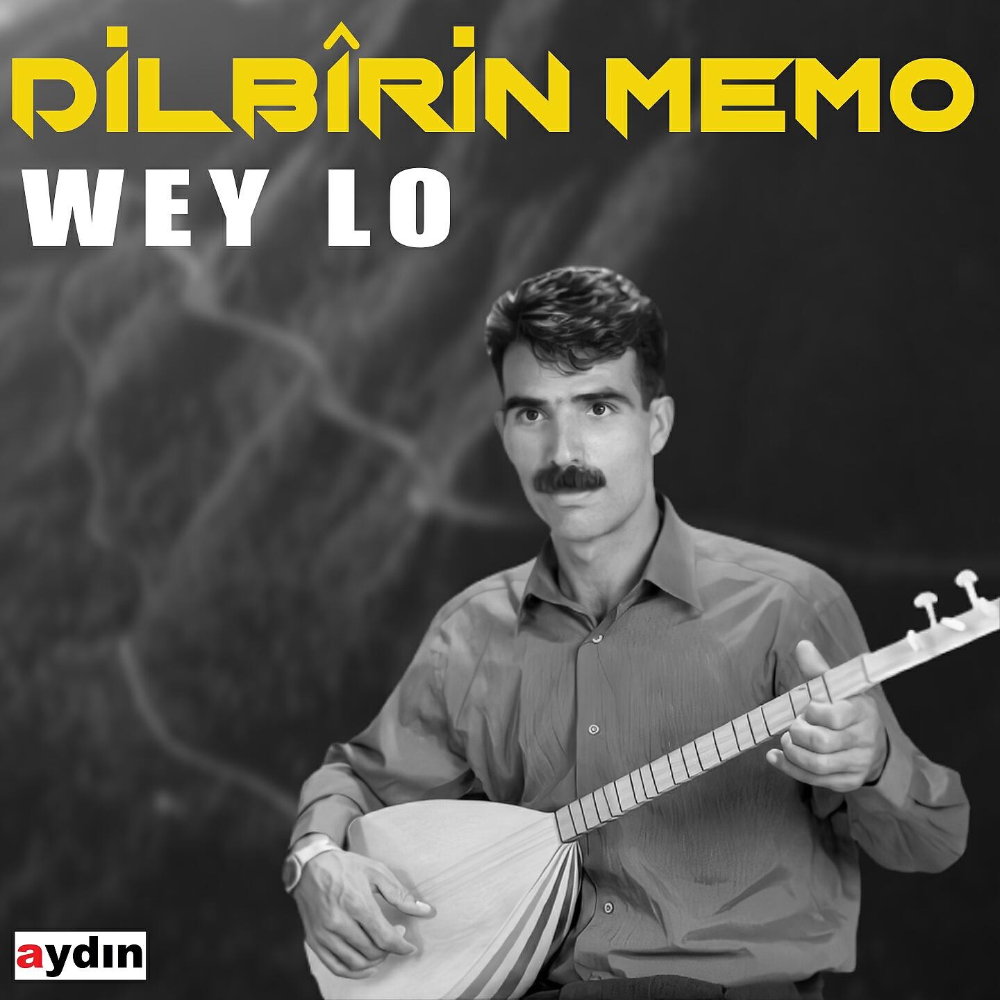 Dilbirin Memo - Kuro Bave Te Fılle Ye