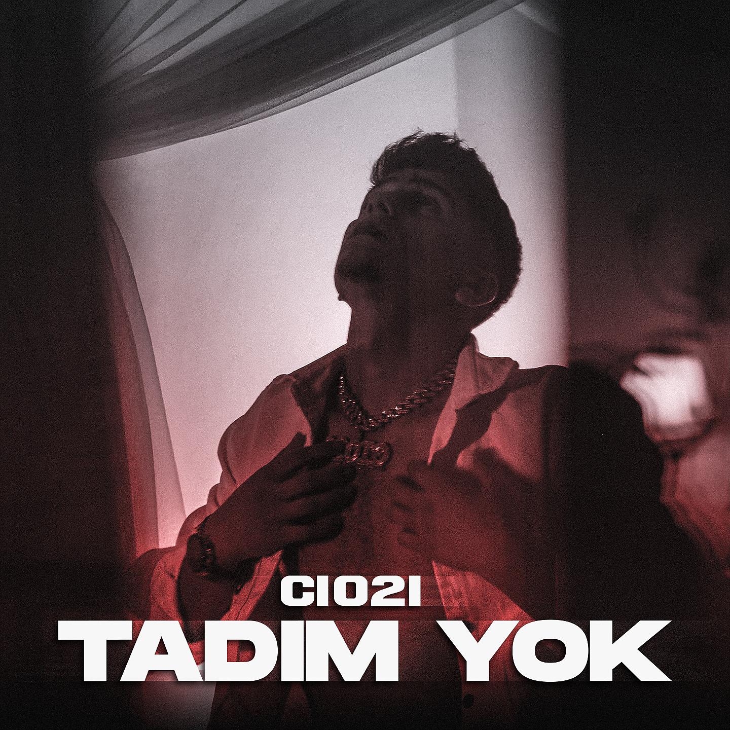 Постер альбома Tadım Yok