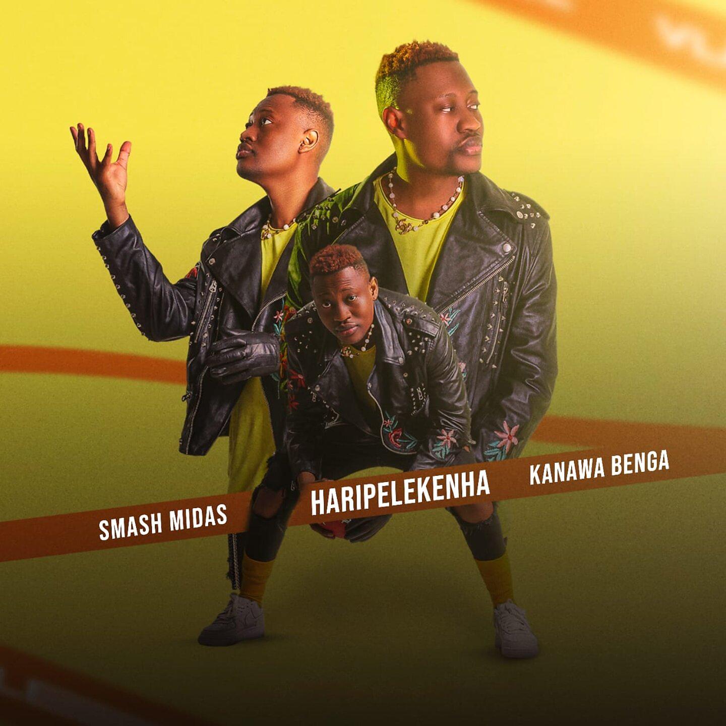 Постер альбома Haripelekenha