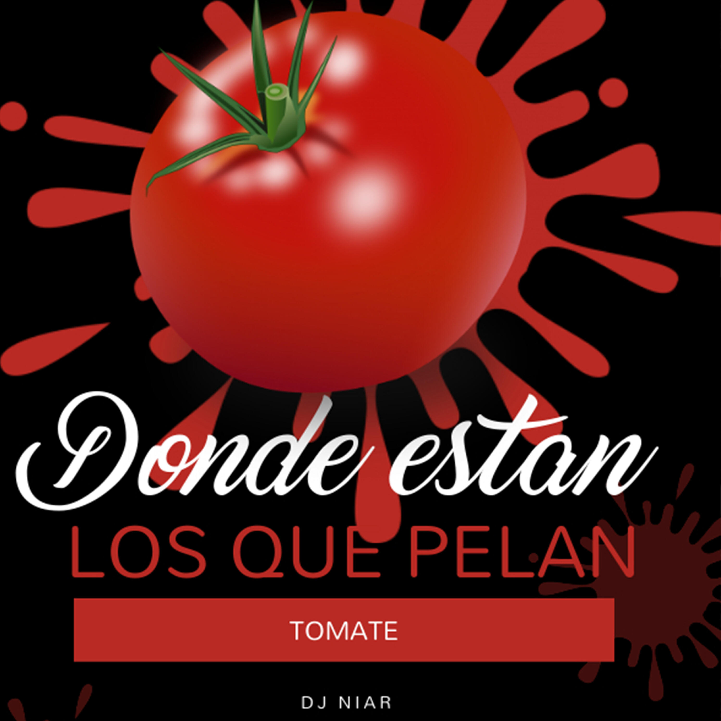DJ Niar - Donde Estan las Que Pelan Tomate