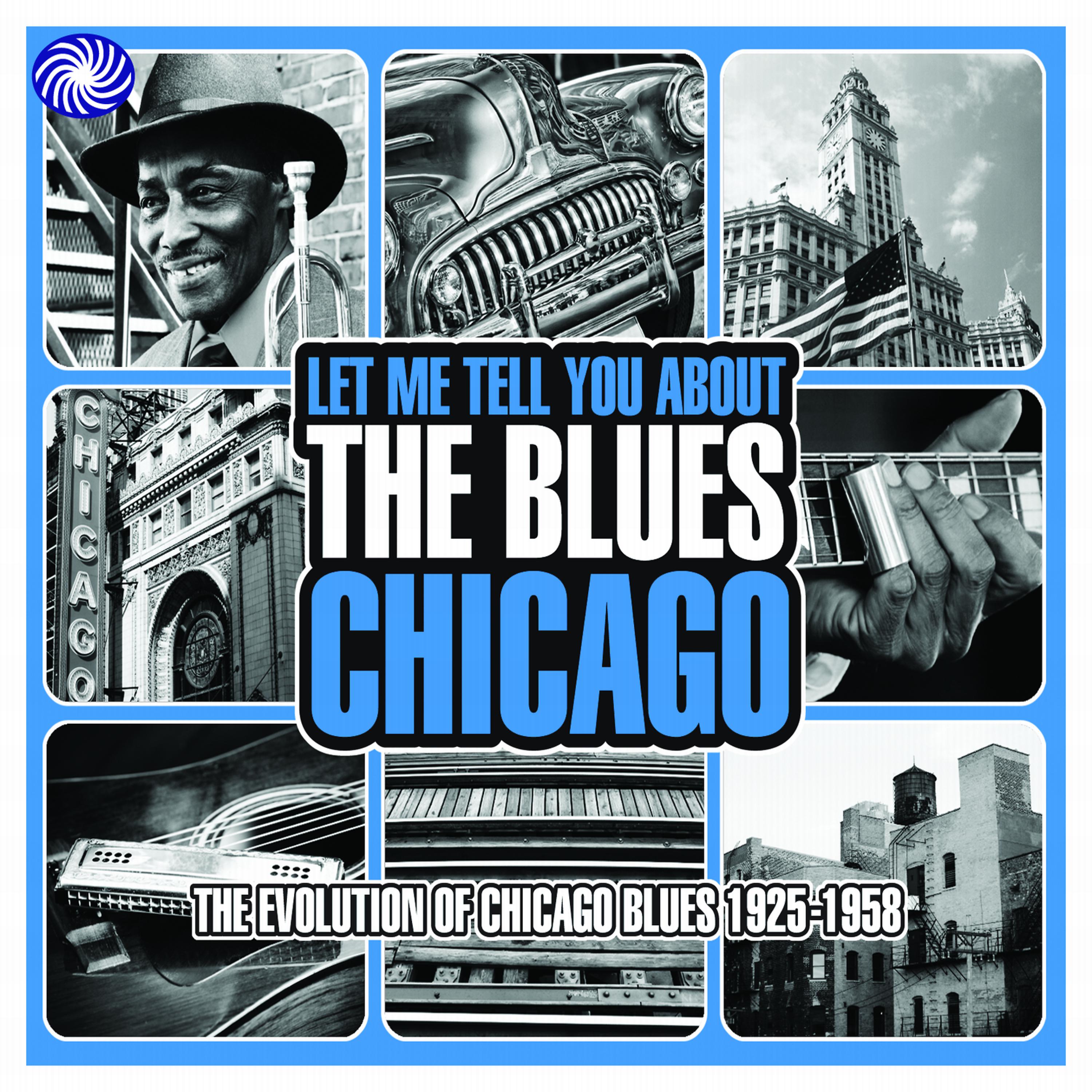 Постер альбома Let Me Tell You About the Blues: Chicago