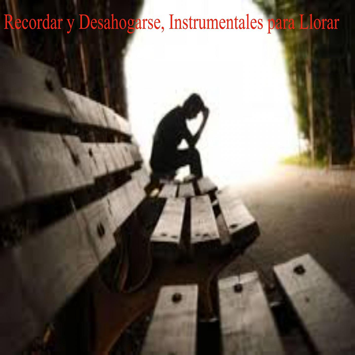 Постер альбома Recordar y Desahogarse, Instrumentales para Llorar