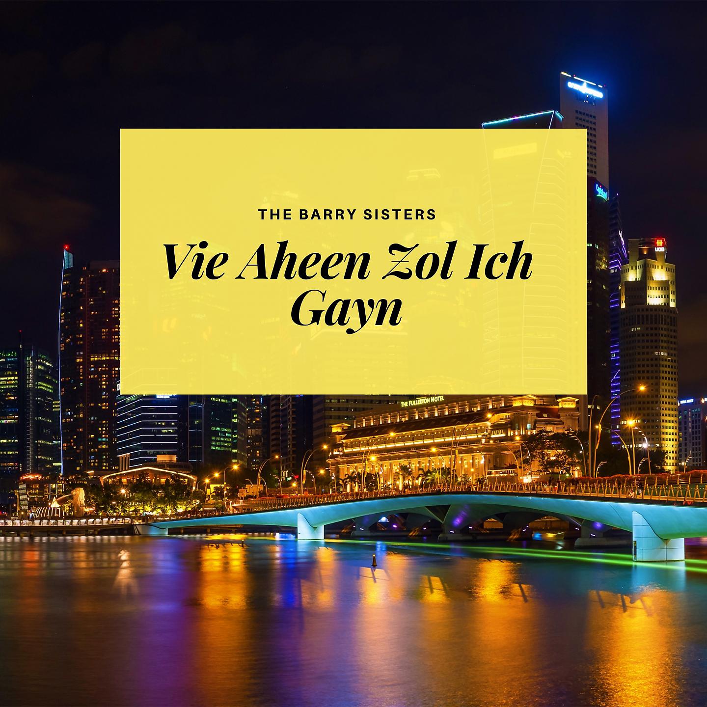 Постер альбома Vie Aheen Zol Ich Gayn