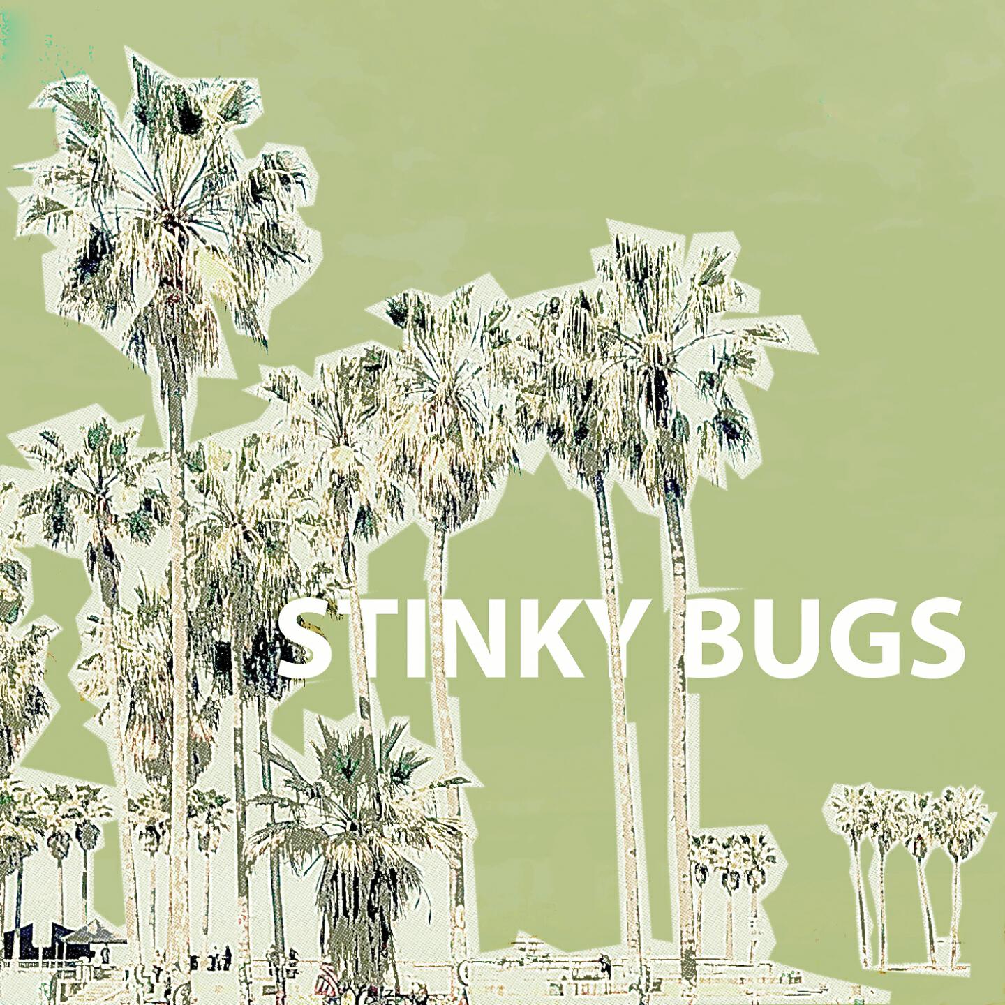 Stinky Bugs - Csillag vagy fecske