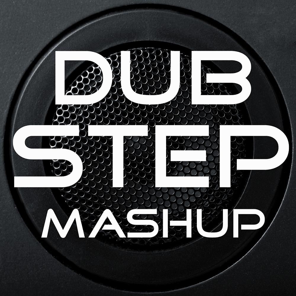 Постер альбома Dubstep Mash Up: Mixed by Vibeizm