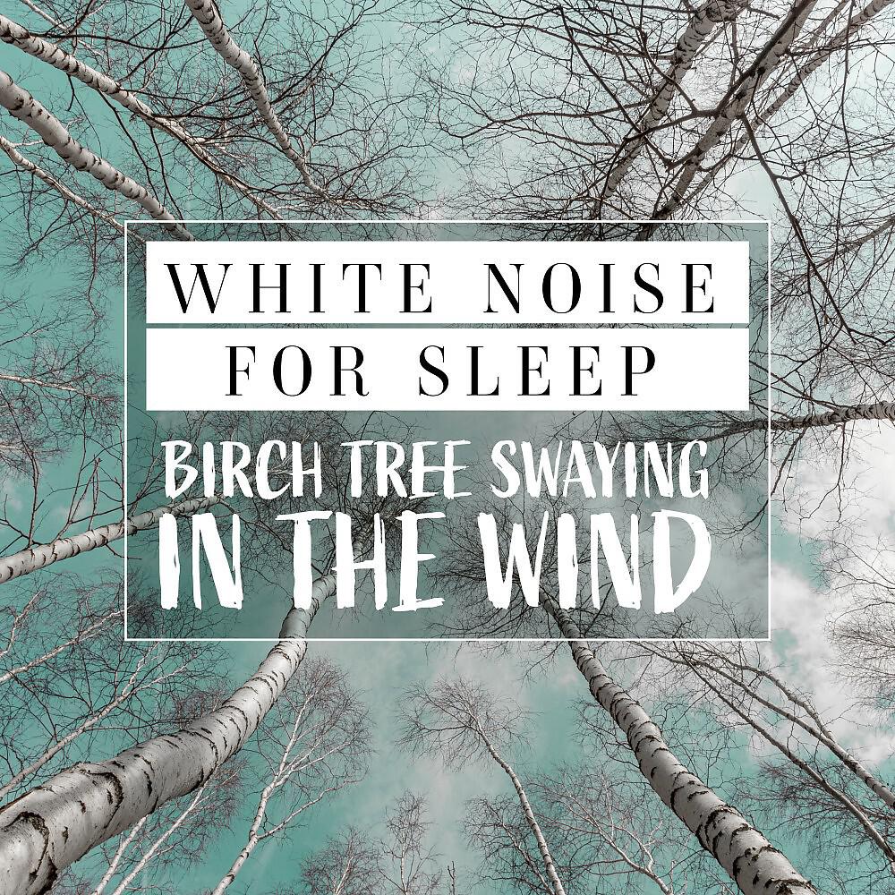 Mark Wayne - White Noise for Sleep - Birch Tree Swaying in the Wind, Pt. 14