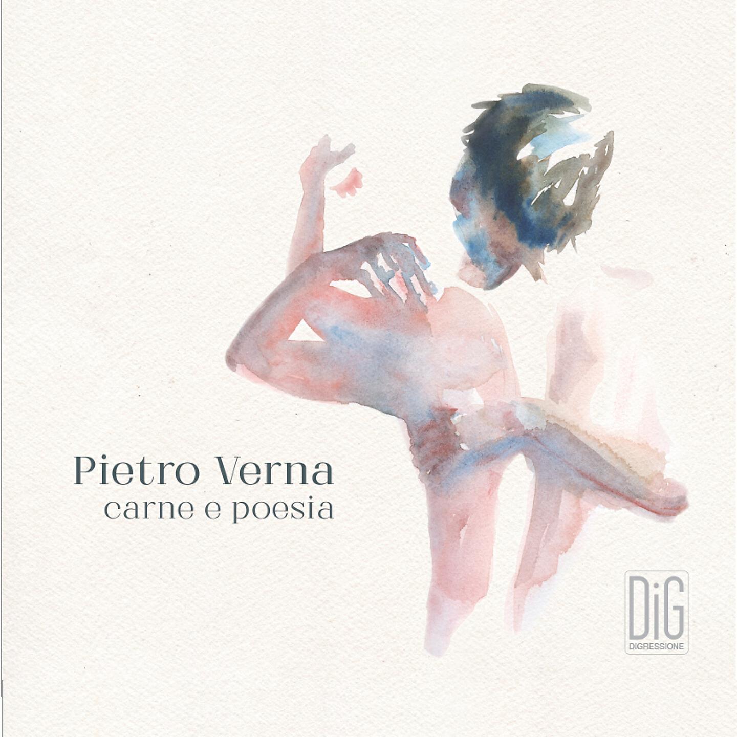 Pietro Verna - La geografia dei dettagli