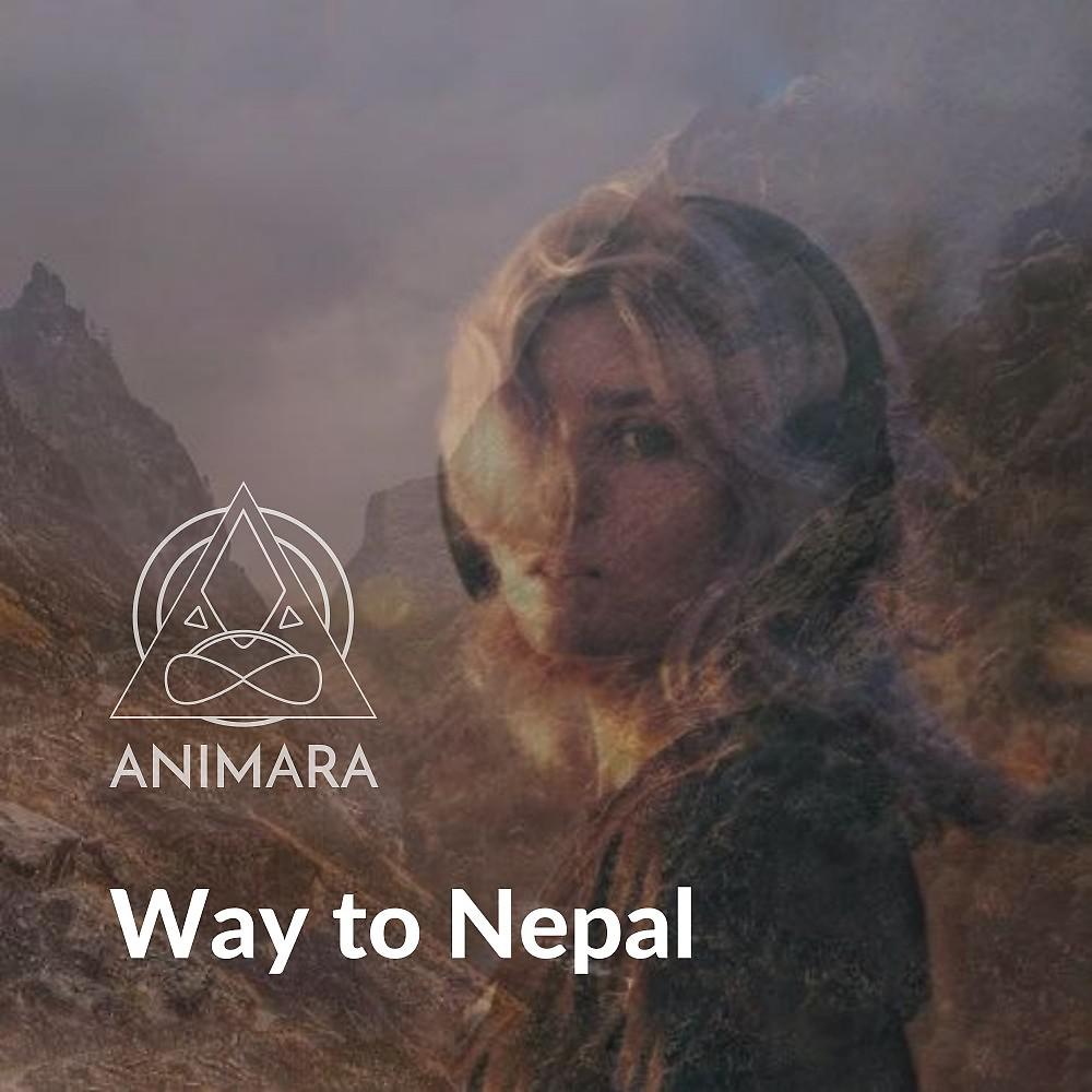 Постер альбома Way to Nepal