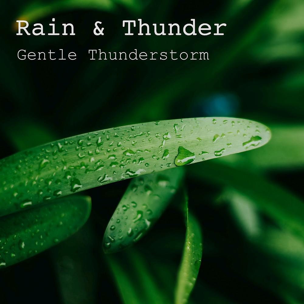 Постер альбома Gentle Thunderstorm