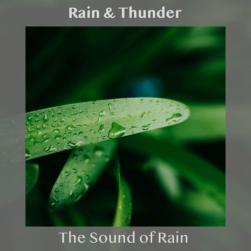 Постер альбома The Sound of Rain