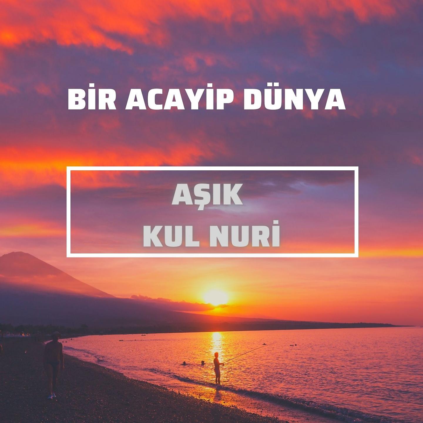 Постер альбома Bir Acayip Dünya