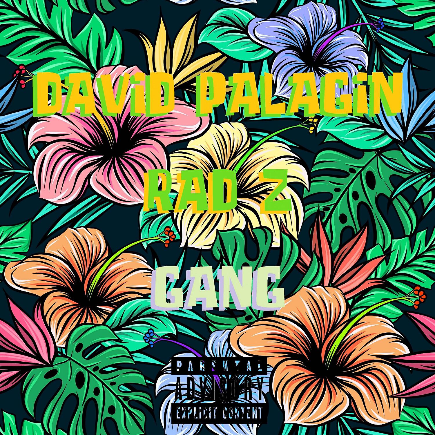 DAVID PALAGIN - Don't Joke