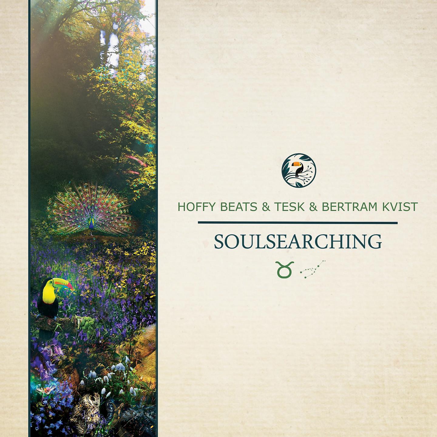 Постер альбома Soulsearching