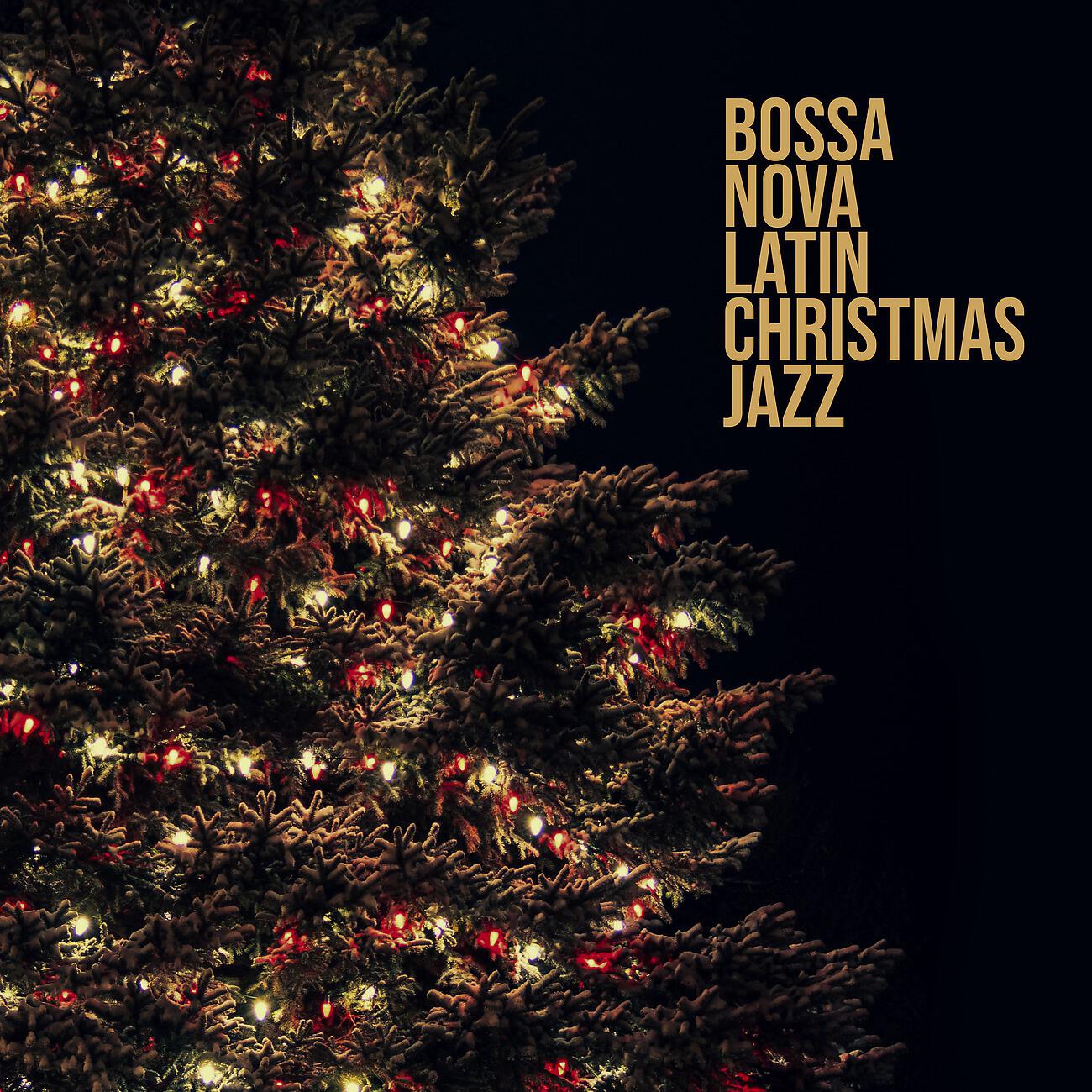Bossa Nova Musician Artist - Afterhour Chill Out